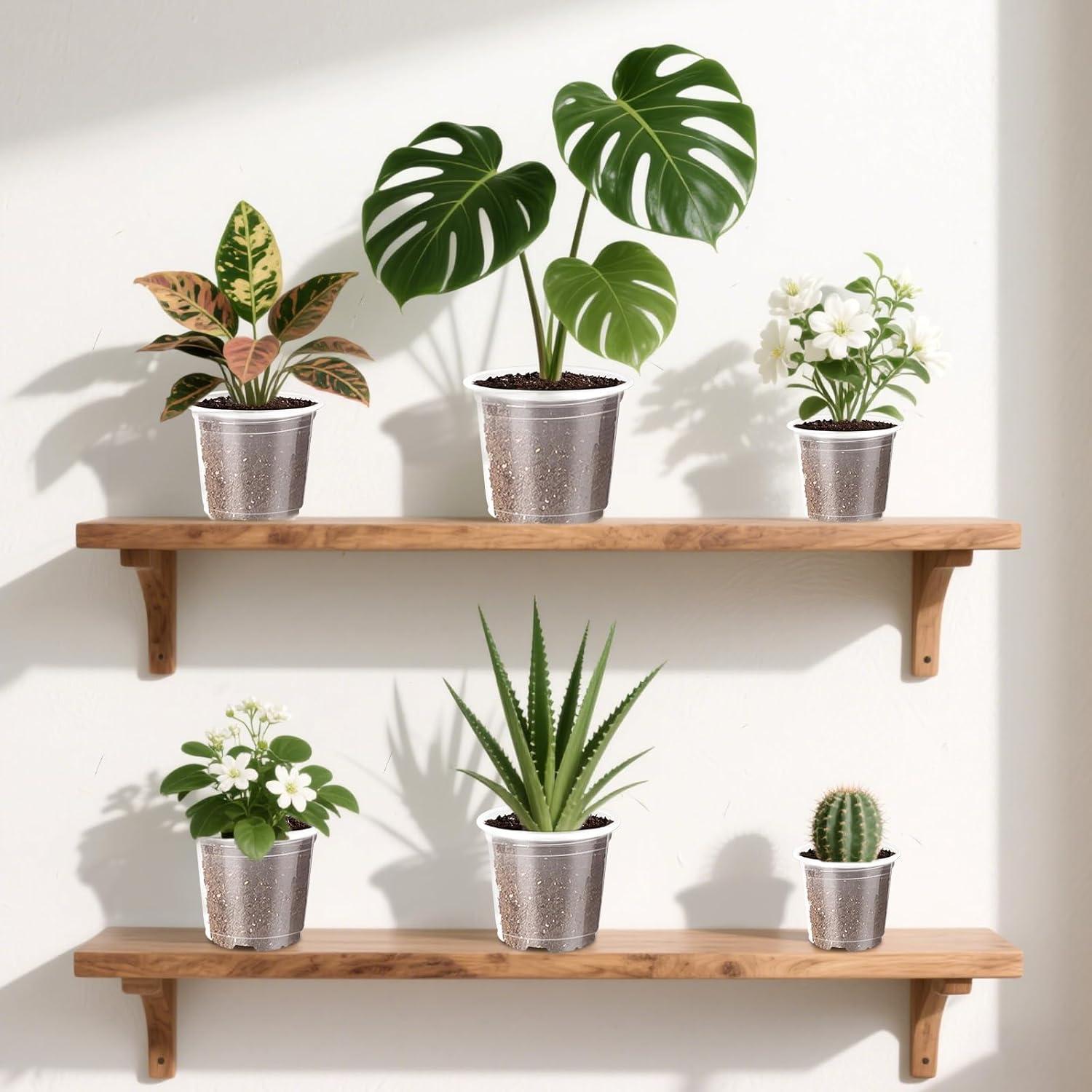 Macetas de Plástico Transparentes Augshy 10cm - 36 Piezas con Drenaje