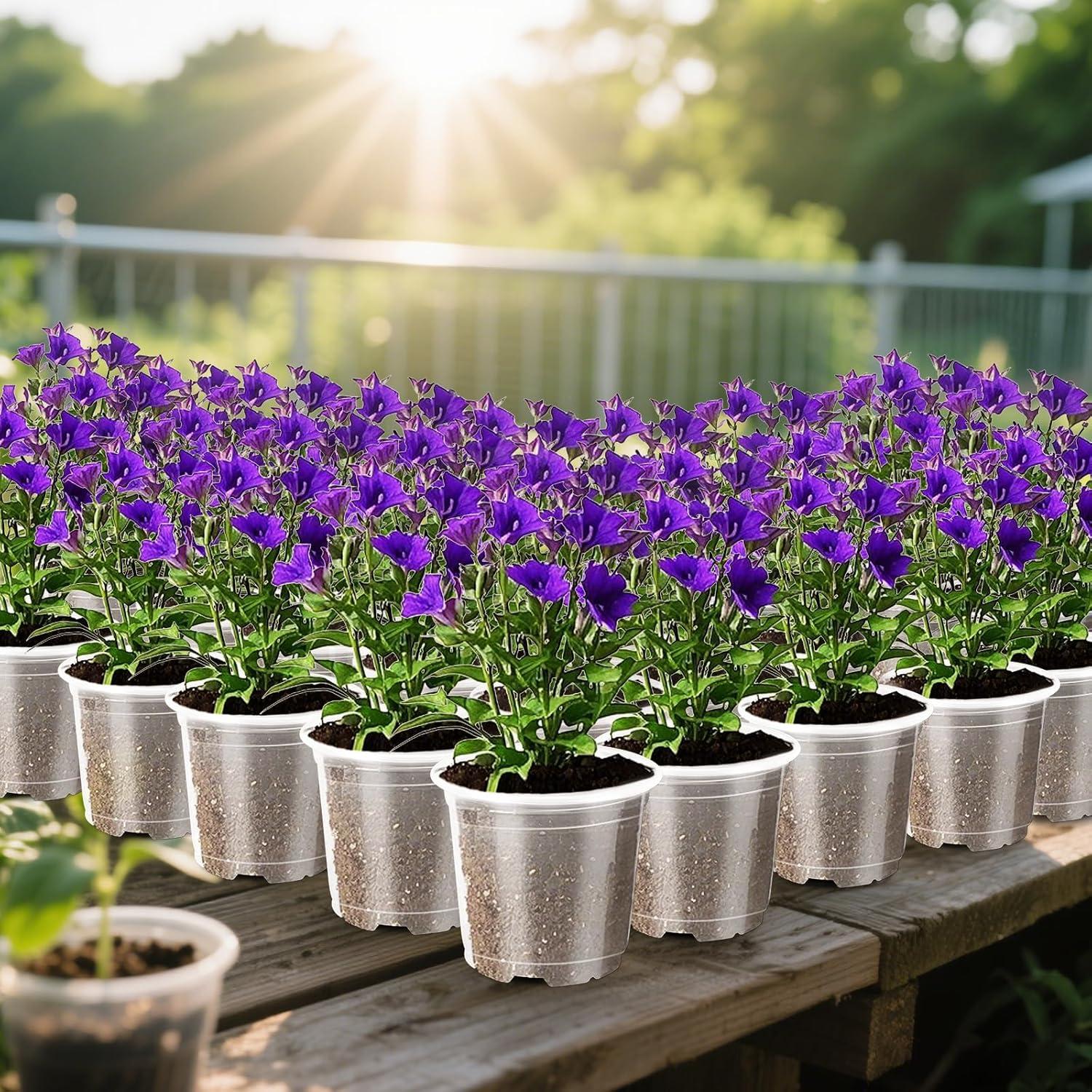 Macetas de Plástico Transparentes Augshy 10cm - 36 Piezas con Drenaje