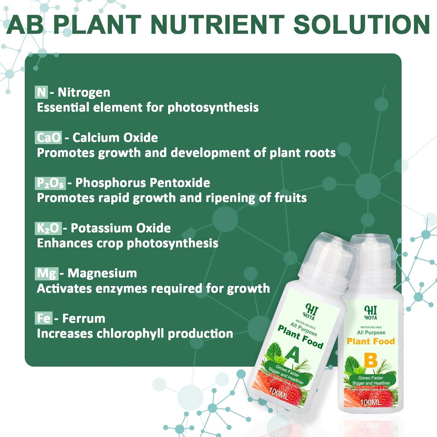 Kit de Cápsulas de Semillas Gourmet HiHOYA - 8 Variedades Hidropónicas