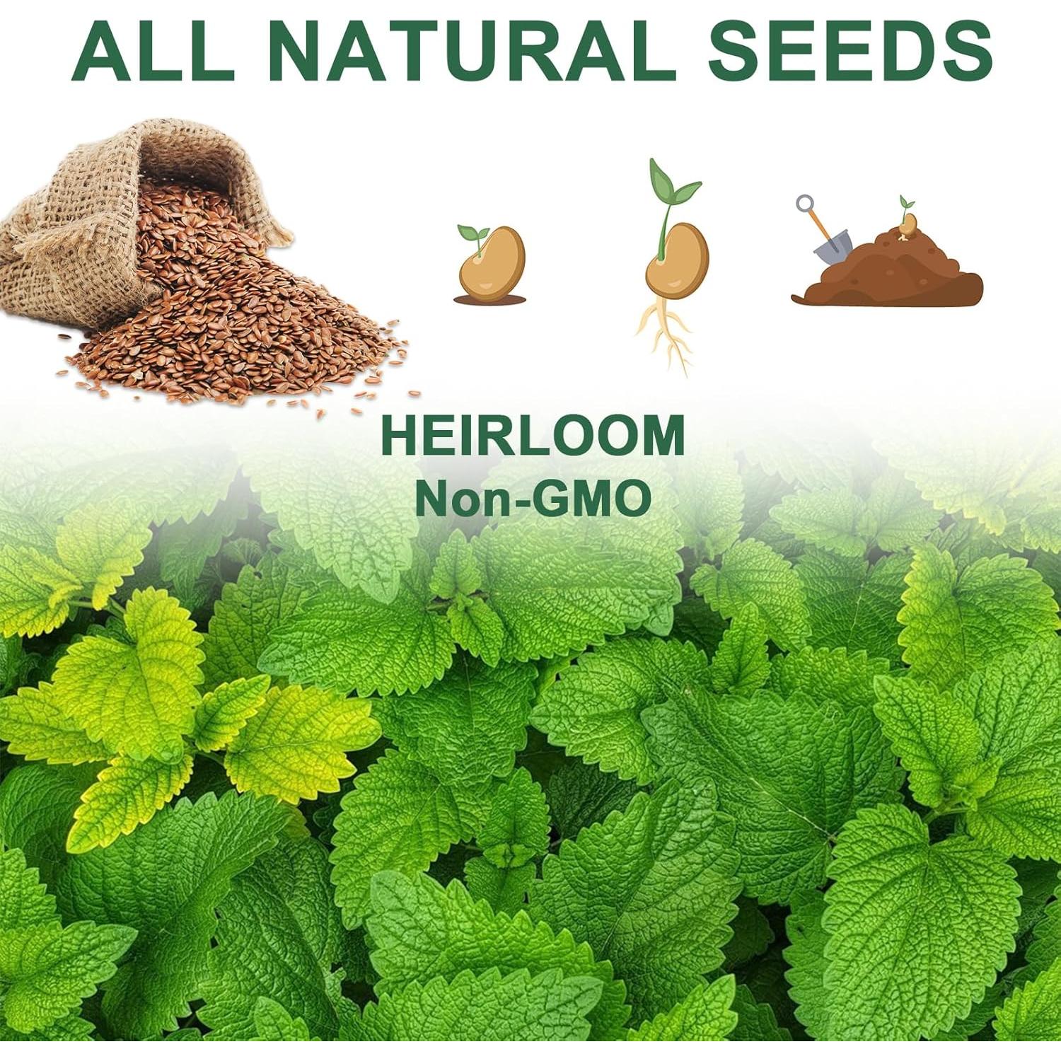 Kit de Cápsulas de Semillas Gourmet HiHOYA - 8 Variedades Hidropónicas