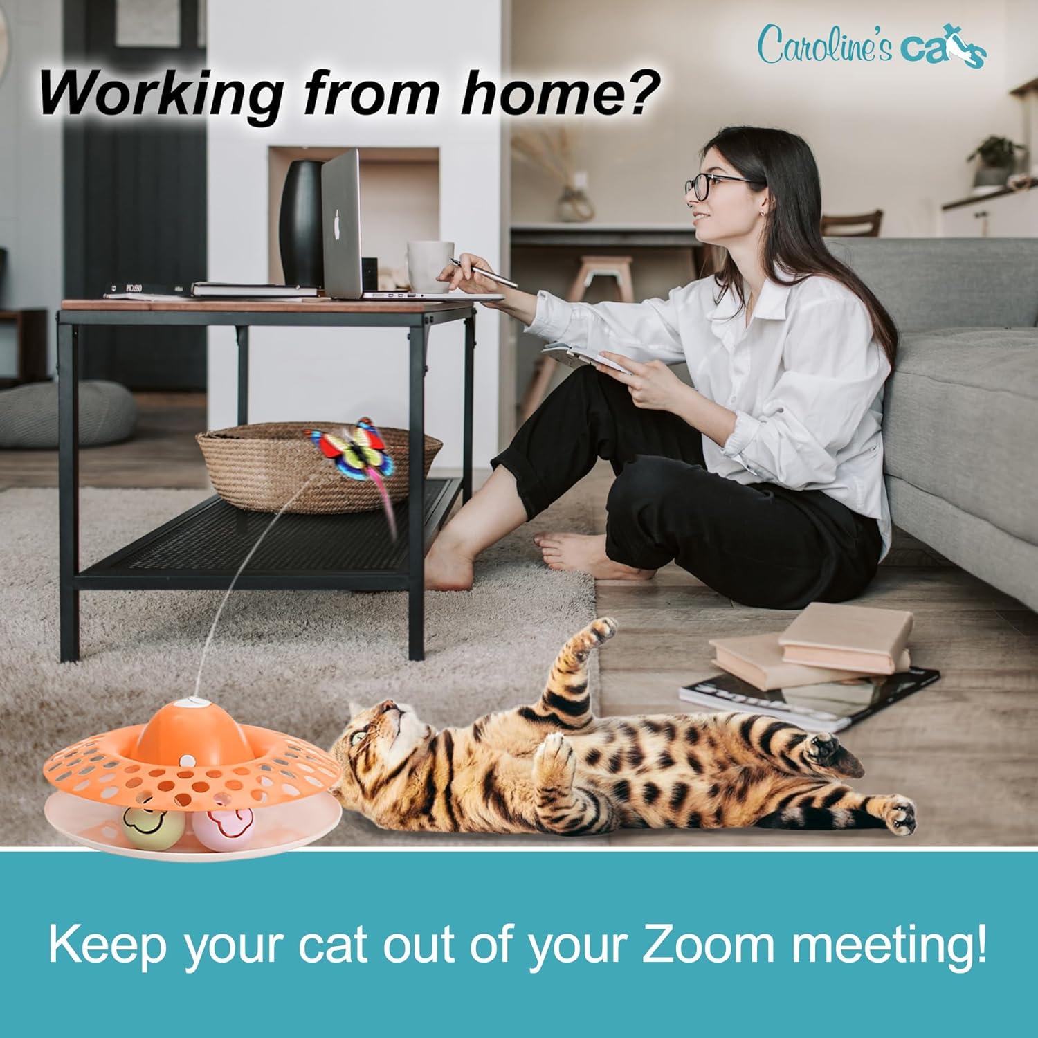 Juguete Interactivo para Gatos Caroline - Mariposa 2 en 1