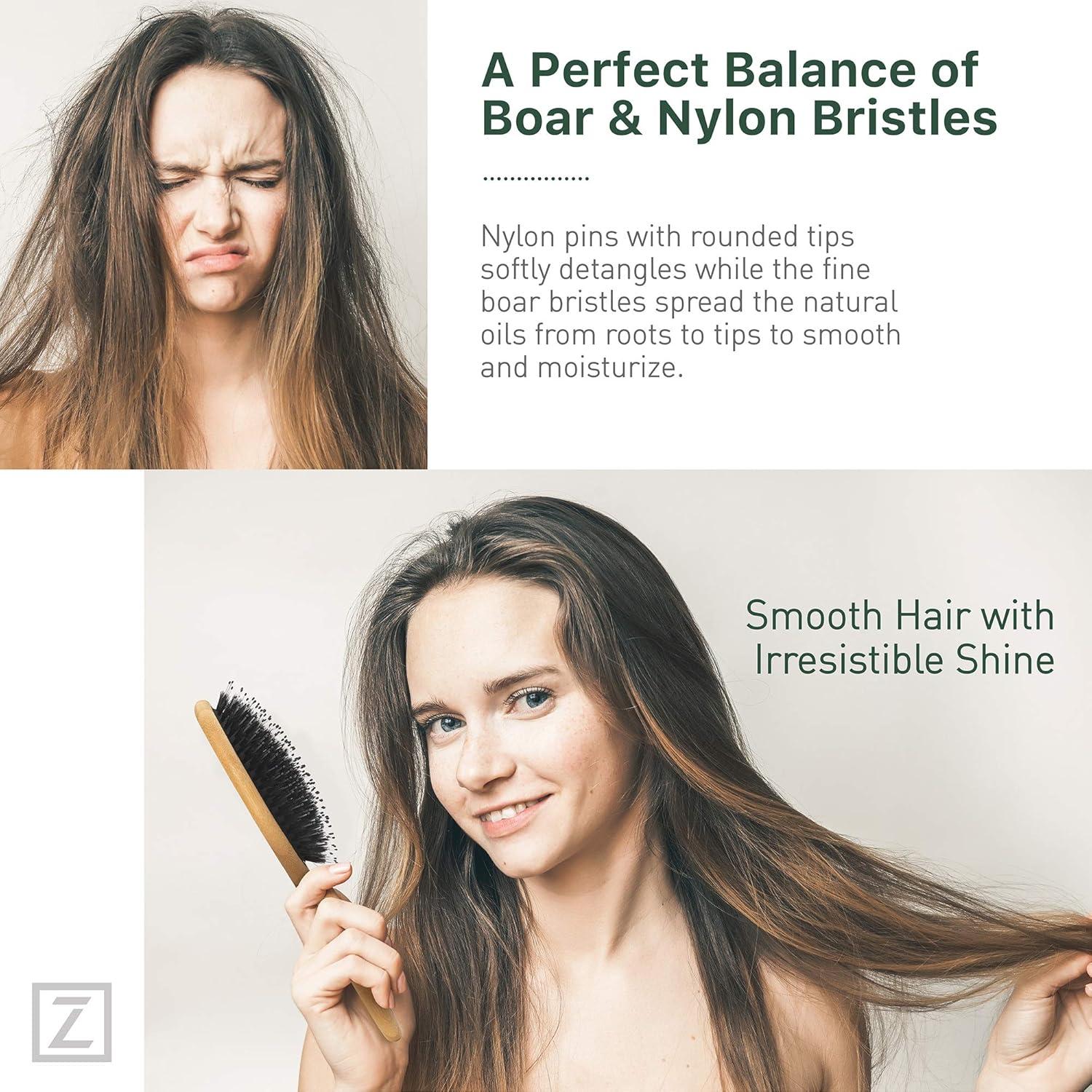 Cepillo Desenredante de Cerdas de Jabalí Zollo - 1 Cuenta