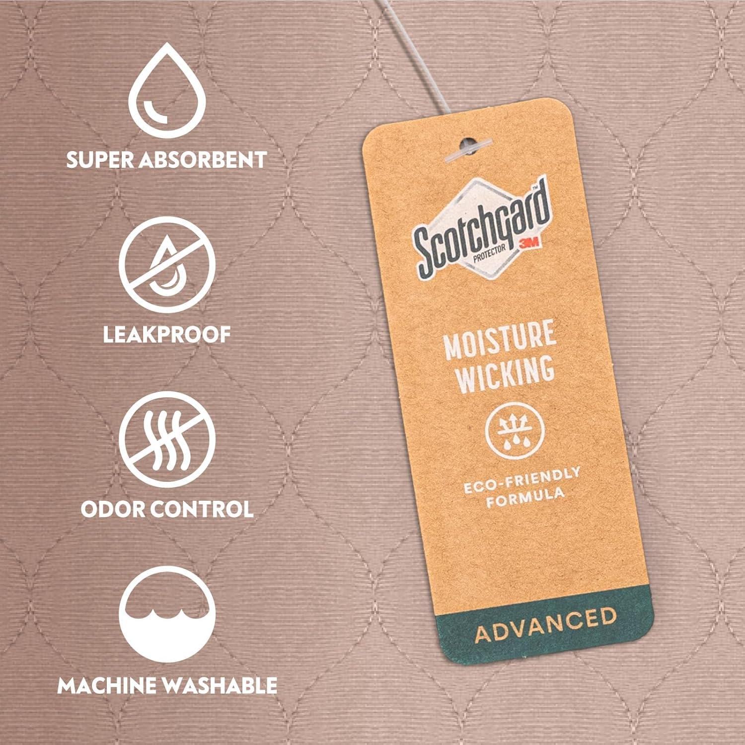 Almohadillas Lavables Paw Inspired 81x76 cm Paquete de 2