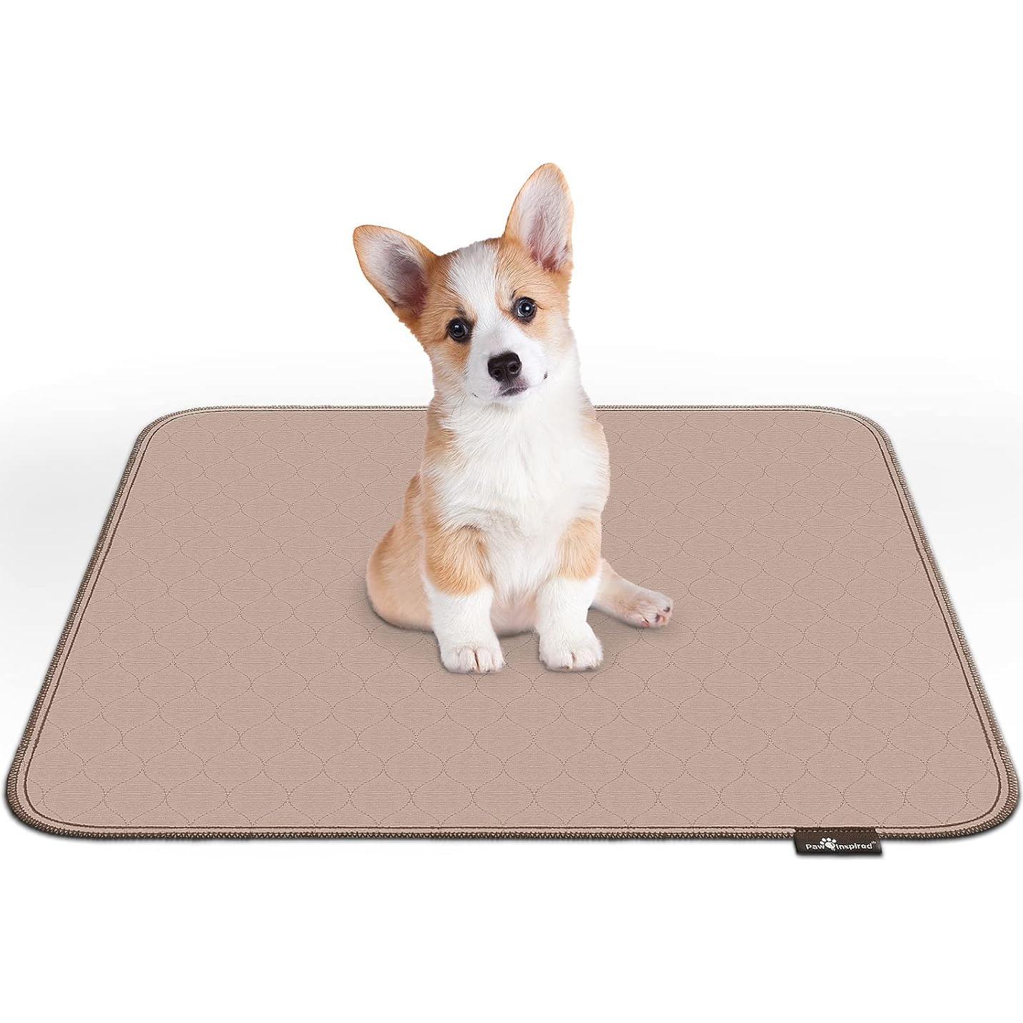 Almohadillas Lavables Paw Inspired 81x76 cm Paquete de 2