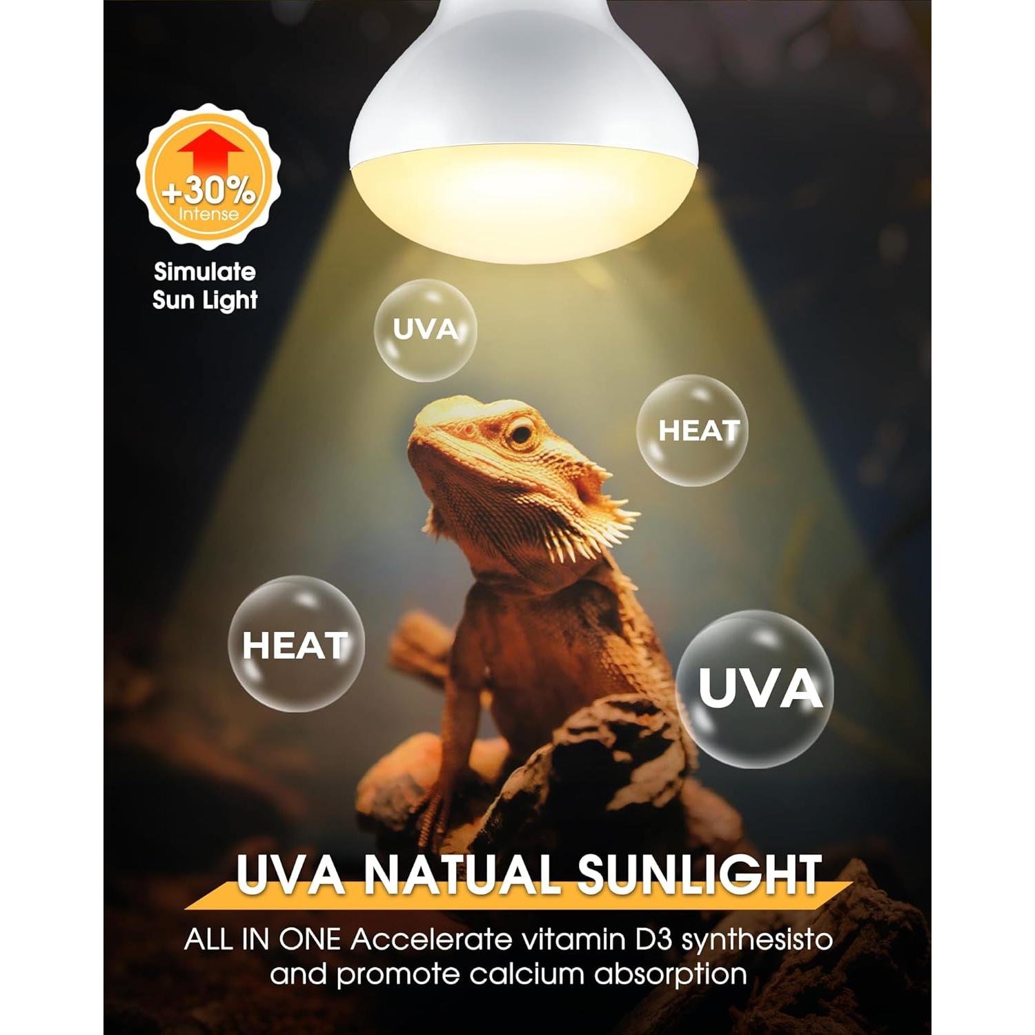 Bombilla de Calor para Reptiles EvaStary 50W UVA UVB Paquete 4