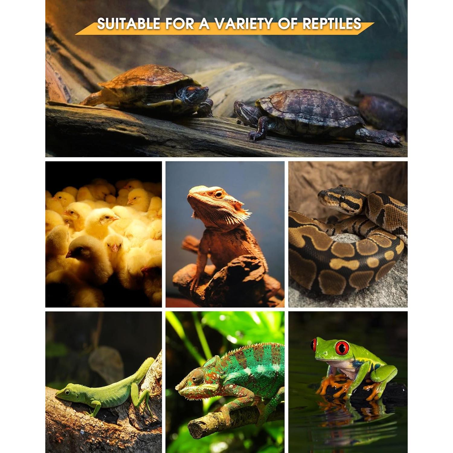 Bombilla de Calor para Reptiles EvaStary 50W UVA UVB Paquete 4