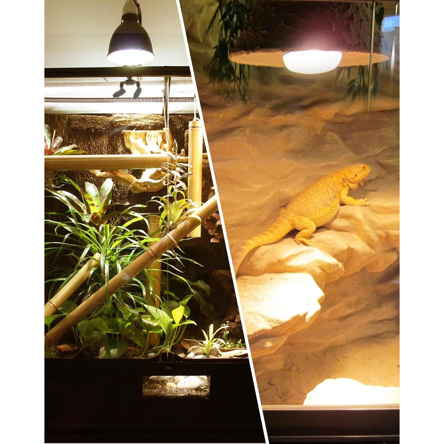 Bombilla de Calor para Reptiles EvaStary 50W UVA UVB Paquete 4