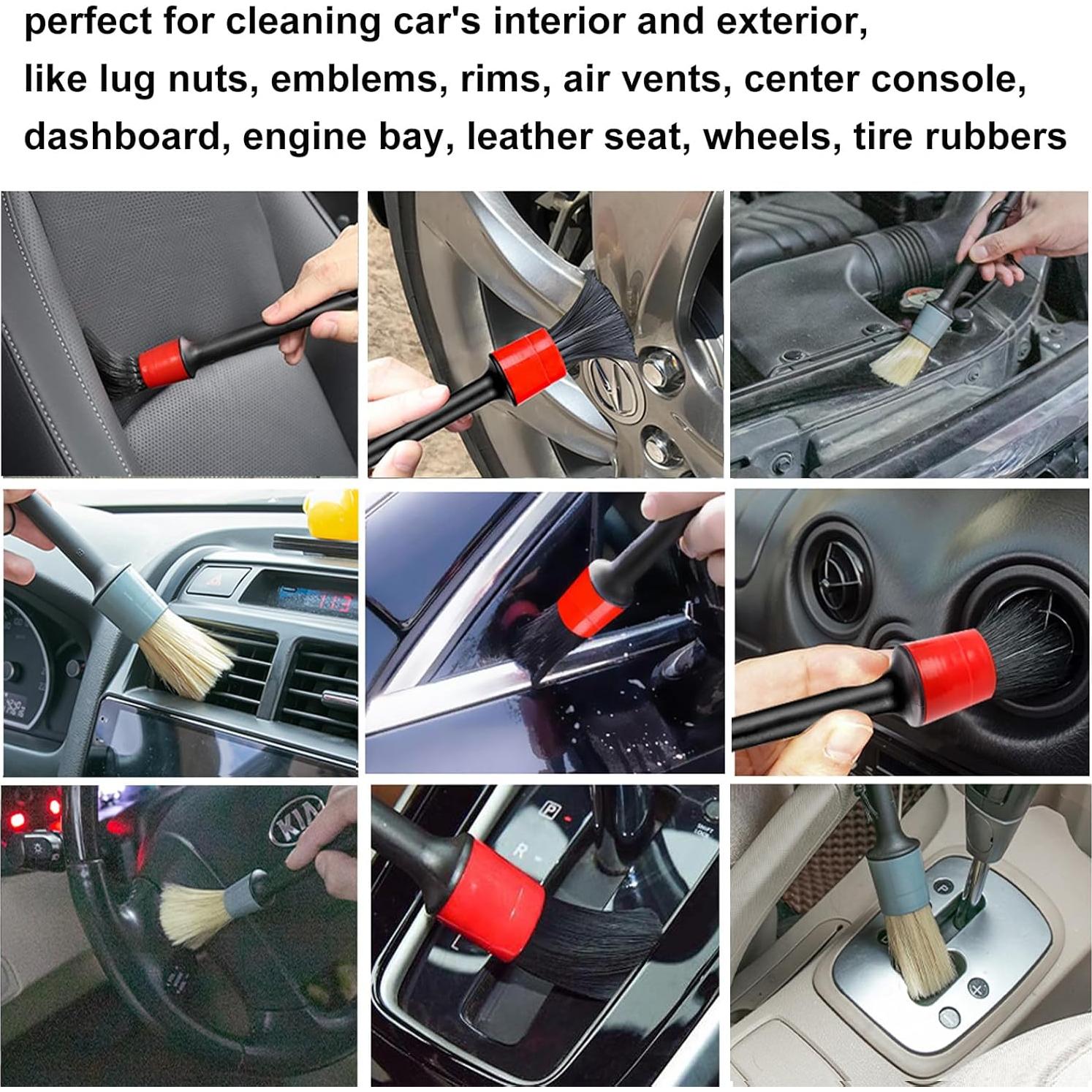 Juego de Cepillos de Detalle LANNEY - 10 Piezas para Autos