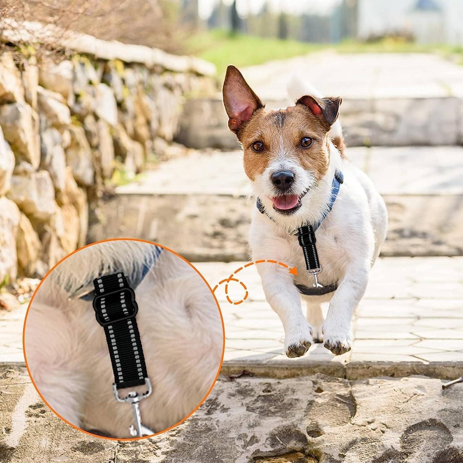 Clip de Seguridad para Perros Chngna - Nylon Reflectante Ajustable