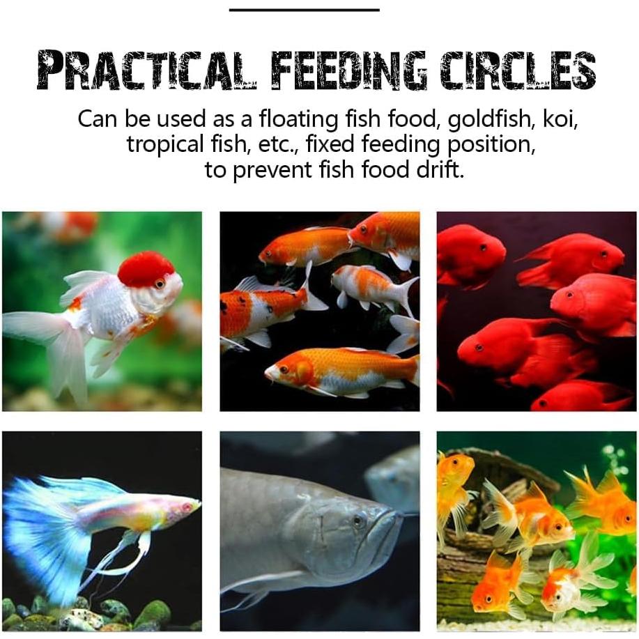Anillo de Alimentación Flotante Dbeans para Peces - 1 Círculo