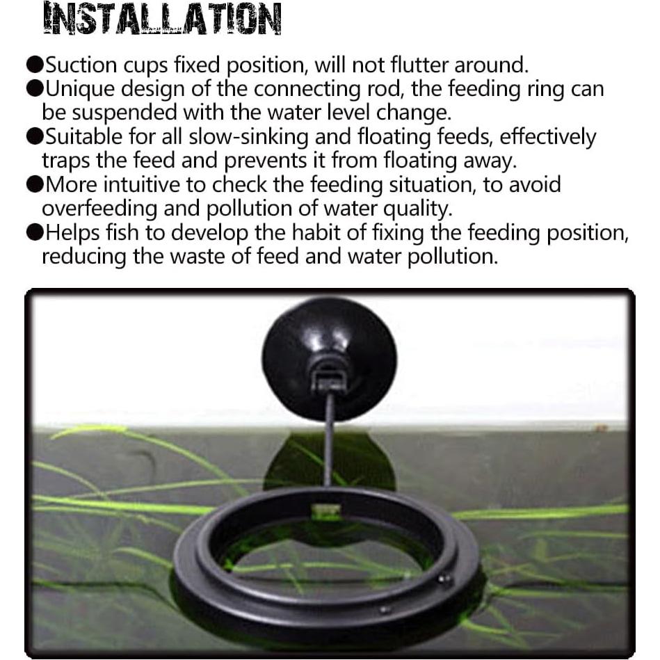 Anillo de Alimentación Flotante Dbeans para Peces - 1 Círculo