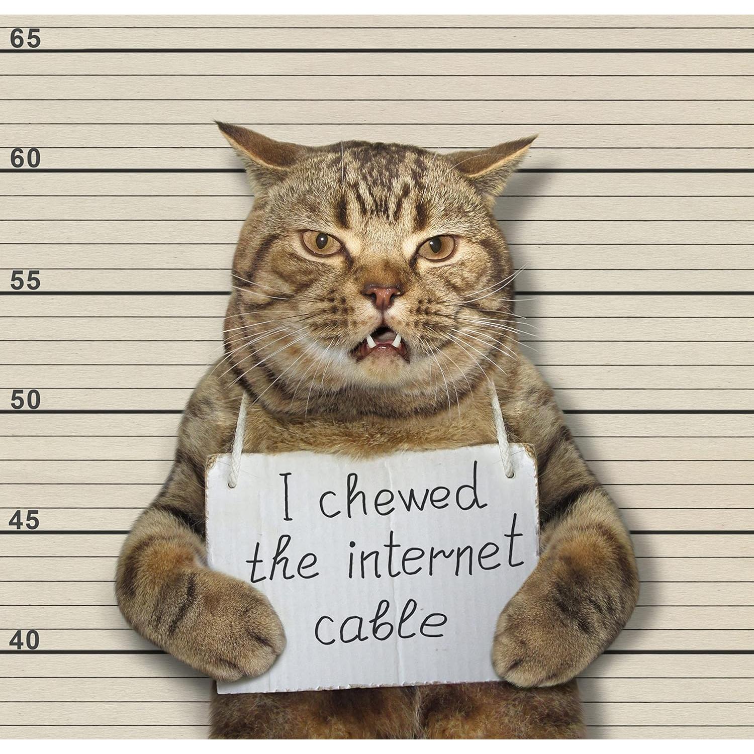 Ocultador de Cables Coaxiales Sleek Socket con Kit Adhesivo