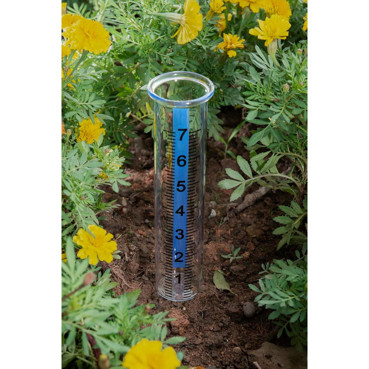 Medidor de Lluvia de Vidrio Mateda 7" (17.78 cm) con Tapa