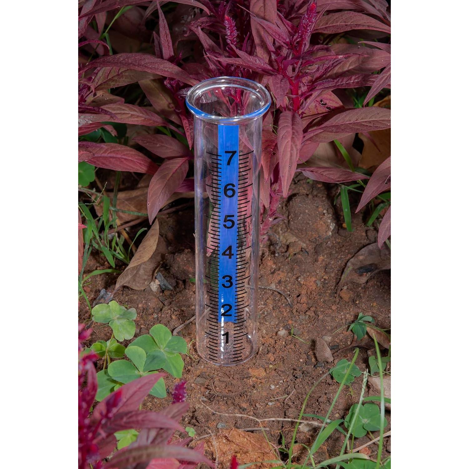 Medidor de Lluvia de Vidrio Mateda 7" (17.78 cm) con Tapa