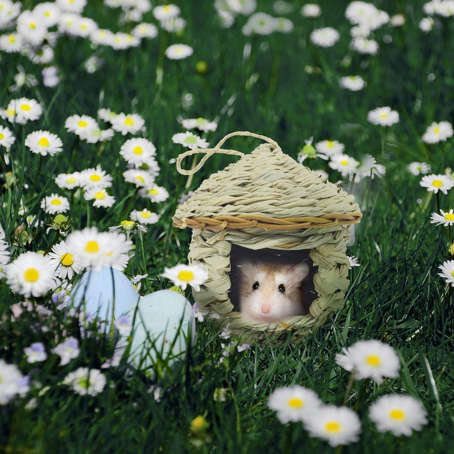 Casa de Colibrí Gute - Tejida a Mano de Hierba Natural - Set de 2