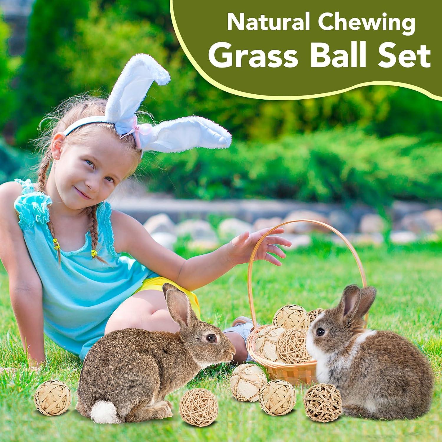 Paquete de 8 Juguetes Masticables Jorewood para Mascotas Pequeñas