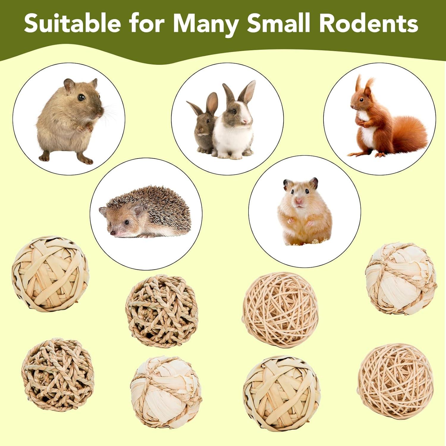 Paquete de 8 Juguetes Masticables Jorewood para Mascotas Pequeñas