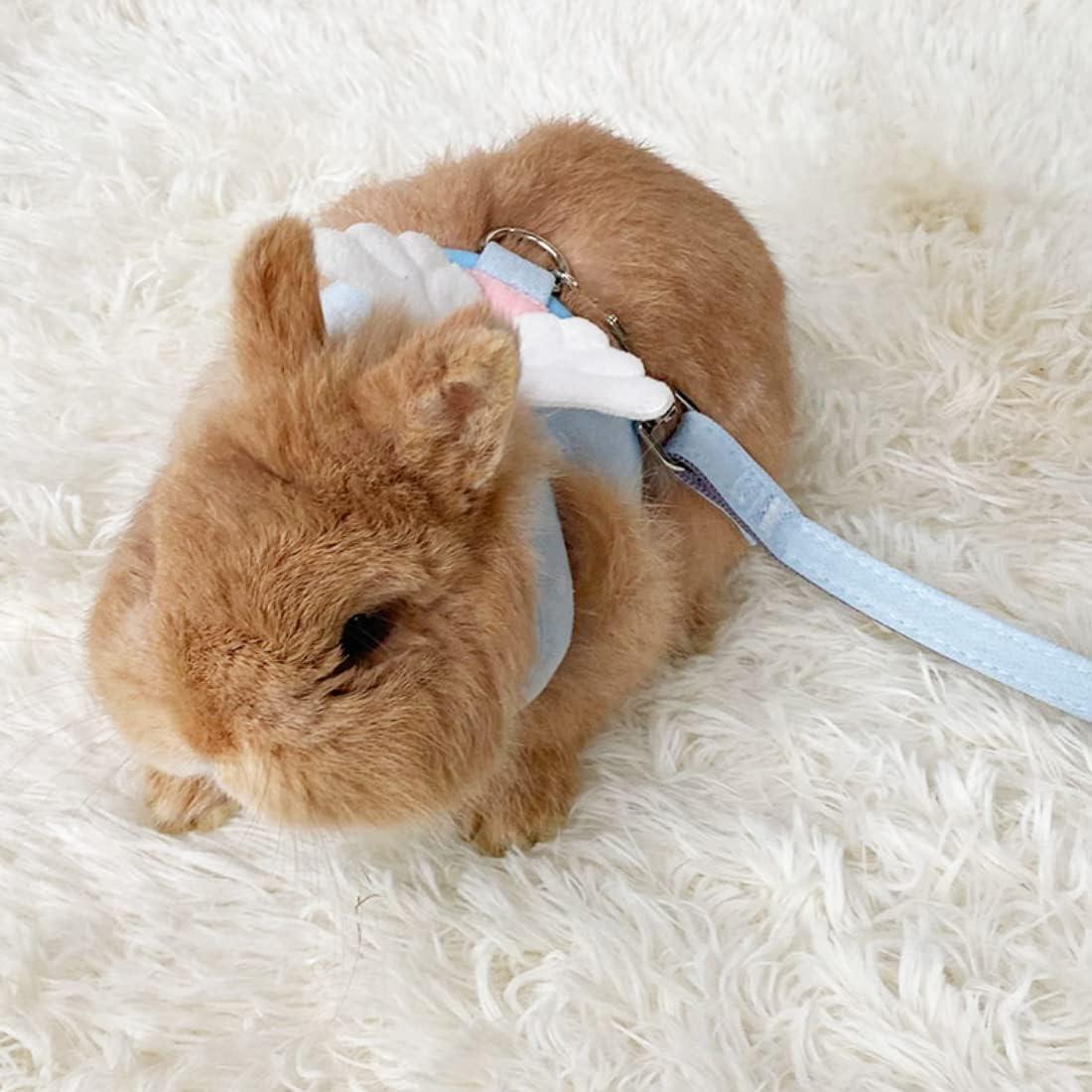 Arnés y Correa para Conejos Barn Eleven - Pequeño 0.5-1.5kg