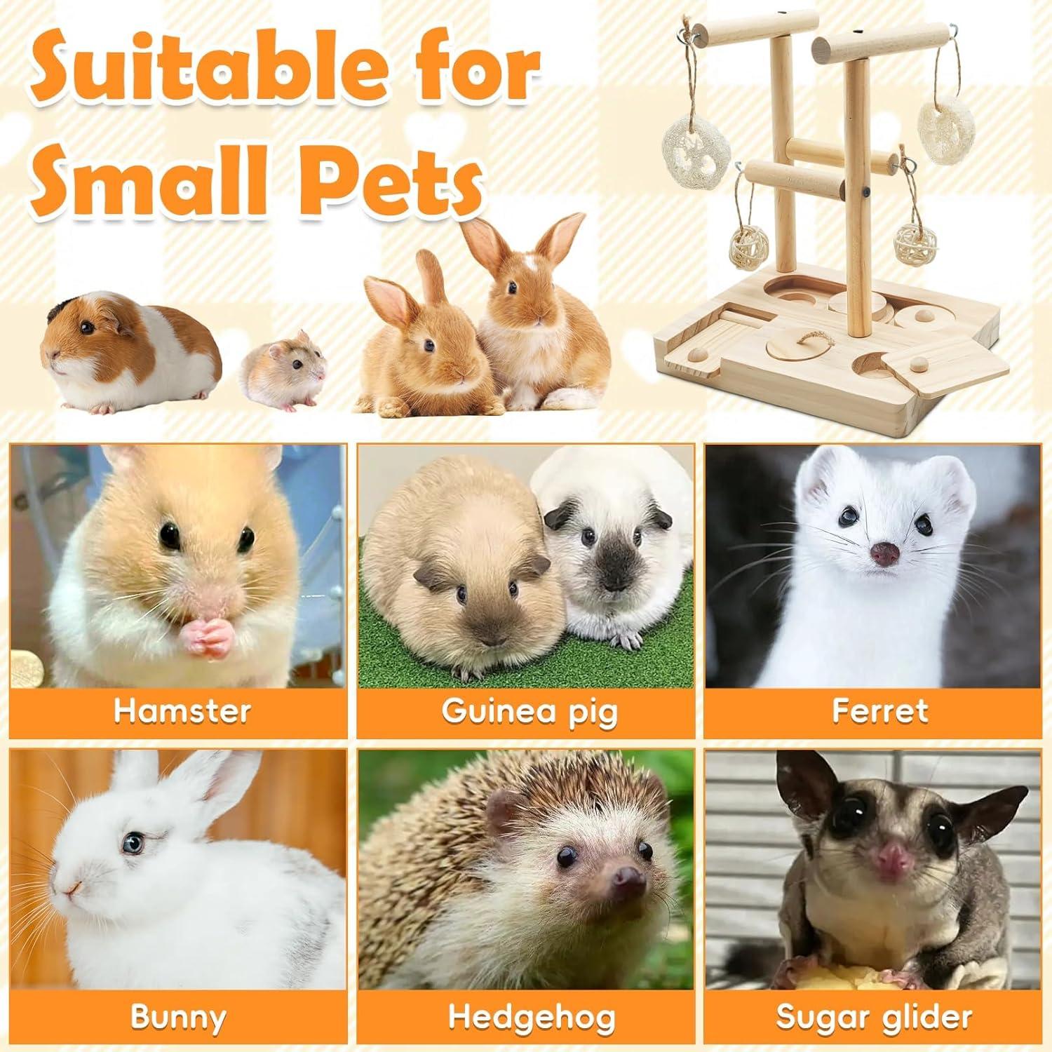 Juguete de Forrajeo para Conejillos de Indias PINVNBY 17.5x13.5cm