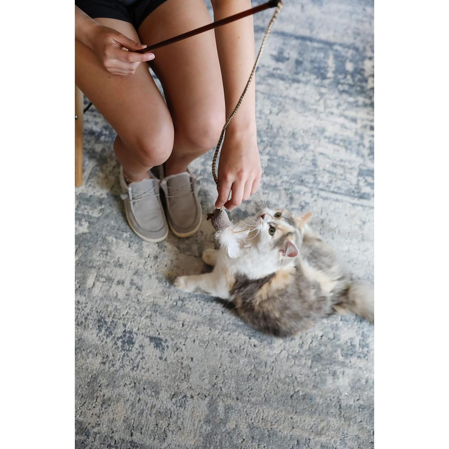 Varita Juguete para Gato OurPets con Plumas y Sonido Realista