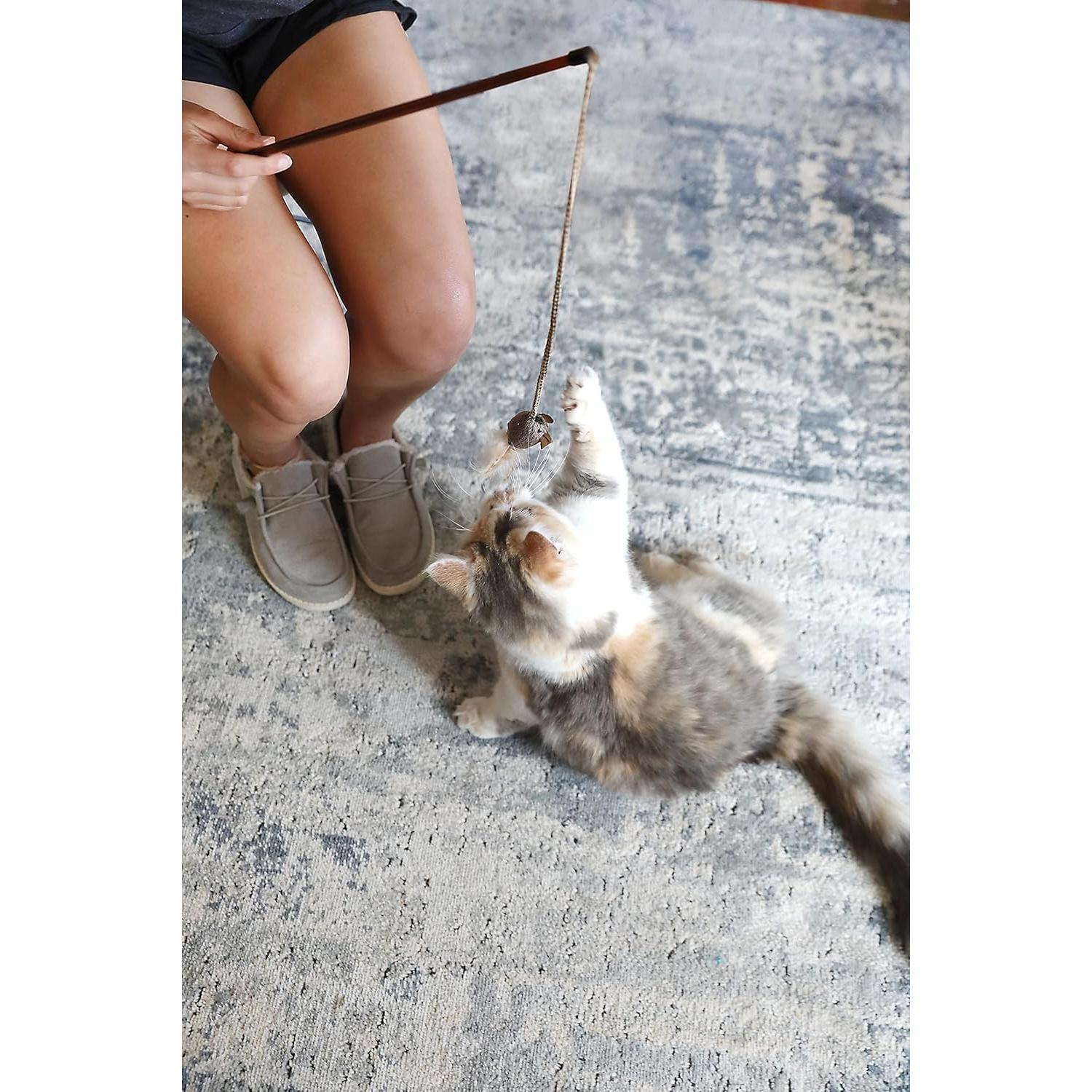 Varita Juguete para Gato OurPets con Plumas y Sonido Realista