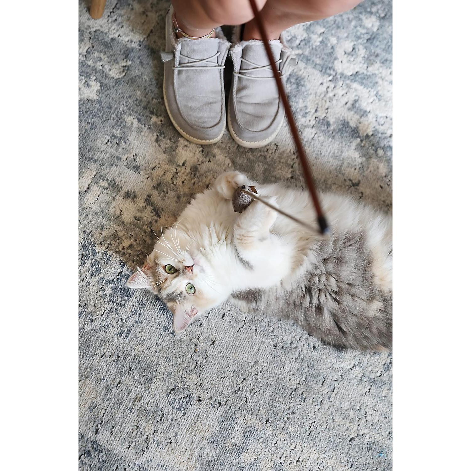 Varita Juguete para Gato OurPets con Plumas y Sonido Realista