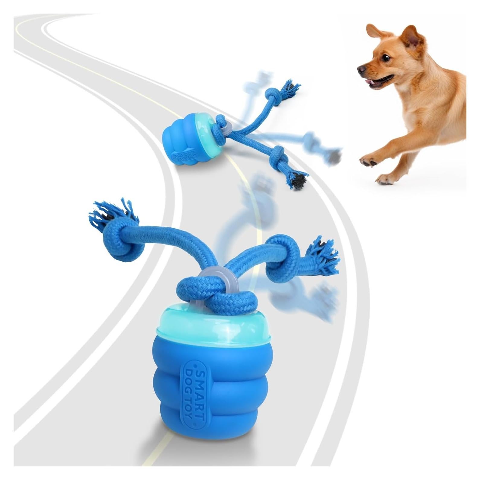 Juguete Interactivo para Perros LEPLE L04 Azul Squeaky