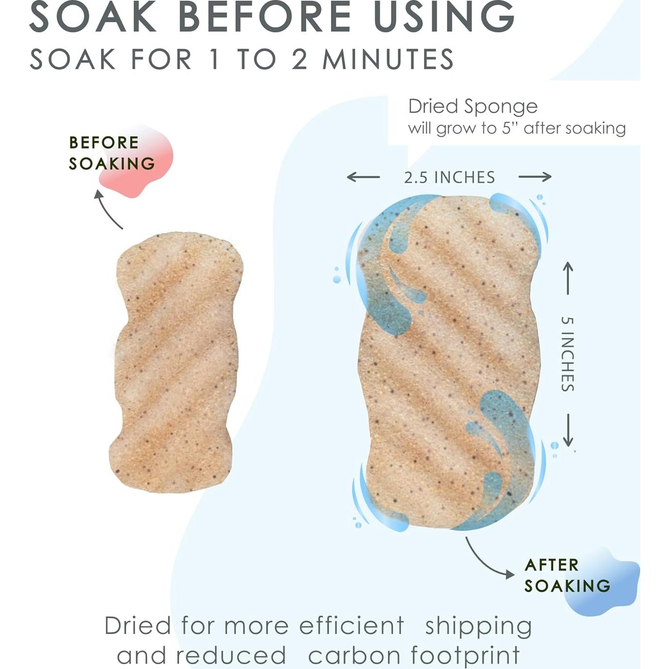 Esponjas Corporales Exfoliantes de Konjac Our Earth Beauty - 2 Unidades