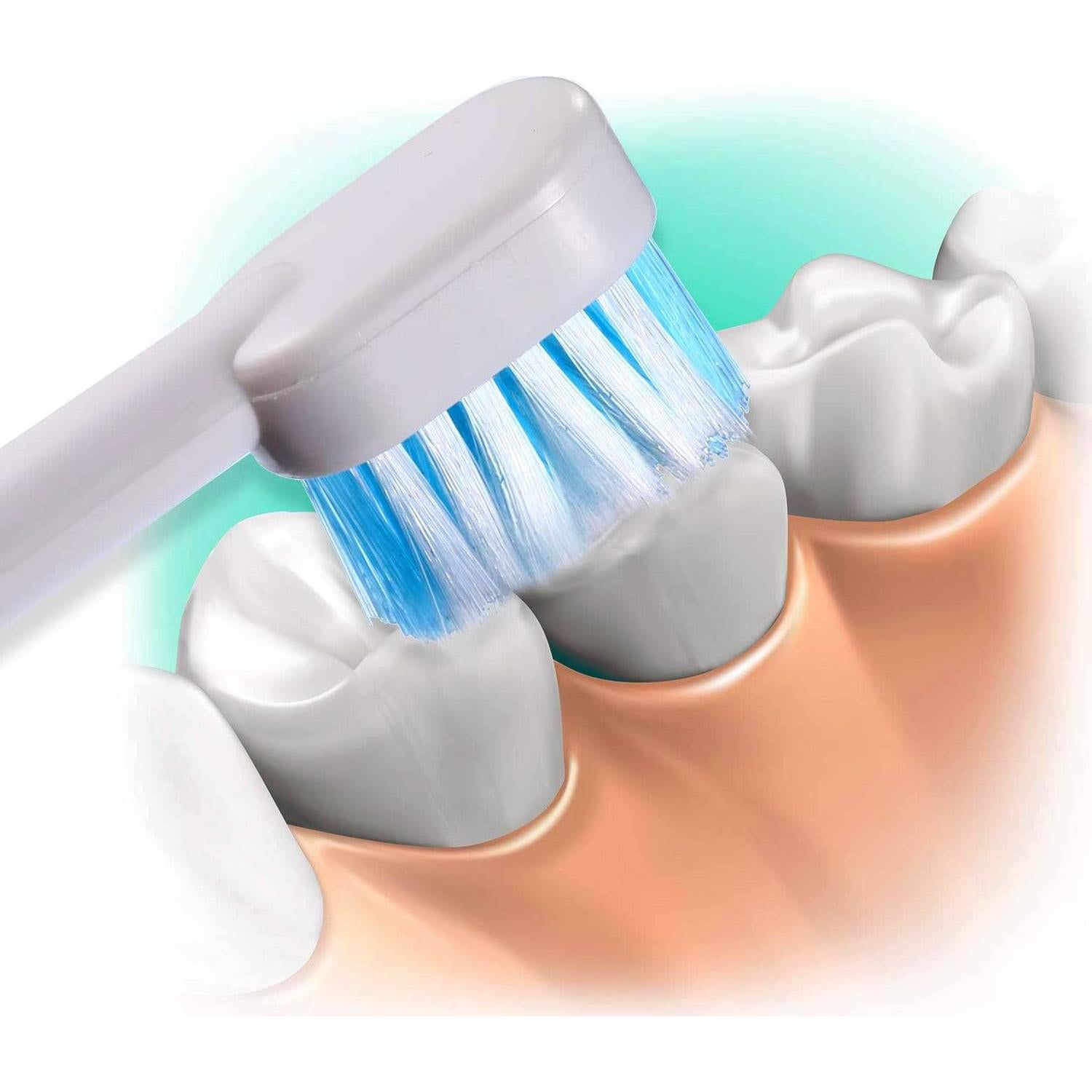 Consejos de Reemplazo Waterpik Aquarius - 6 Cabezal de Cepillo