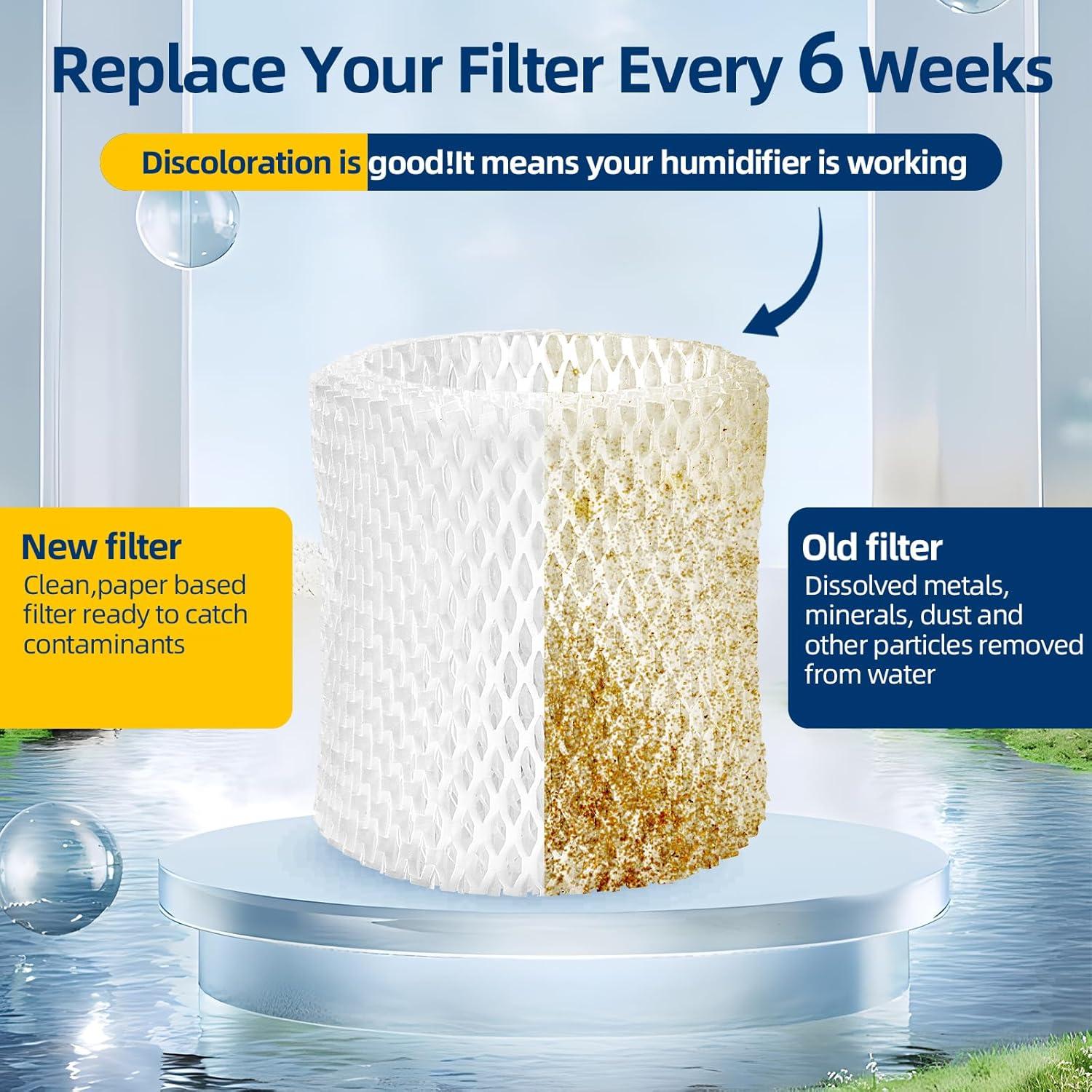 Filtro de Reemplazo DerBlue 6 Pack para Humidificador Canopy