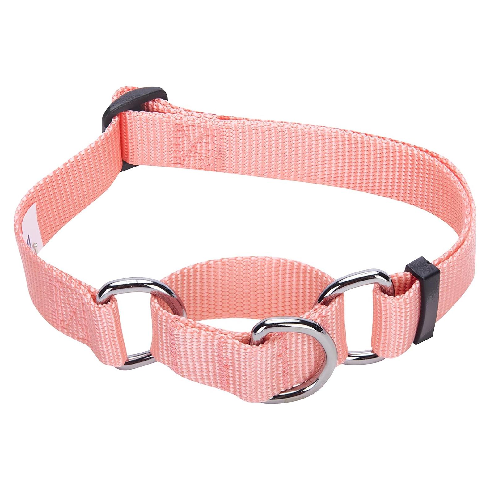 Collar de Entrenamiento Martingale Blueberry Pet Pequeño Rosa