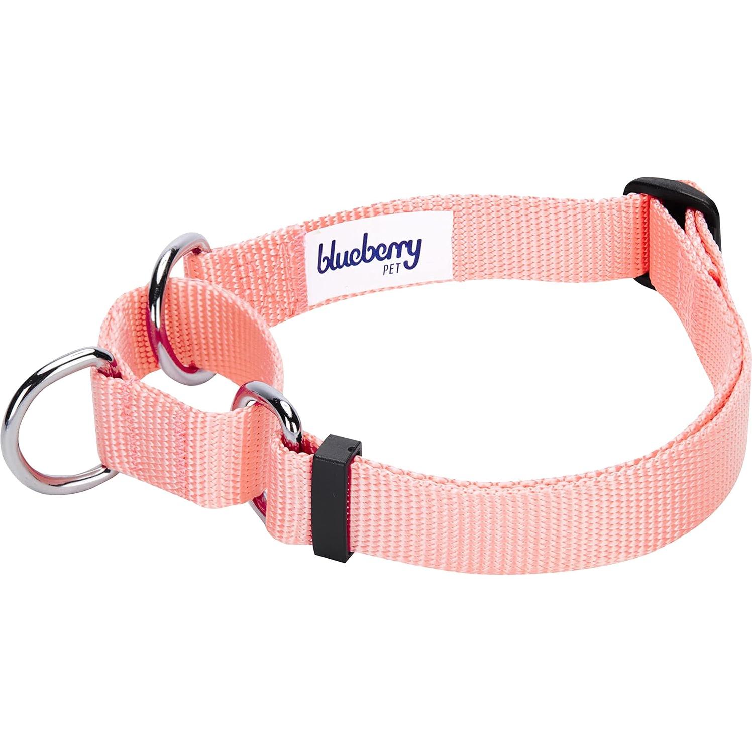 Collar de Entrenamiento Martingale Blueberry Pet Pequeño Rosa