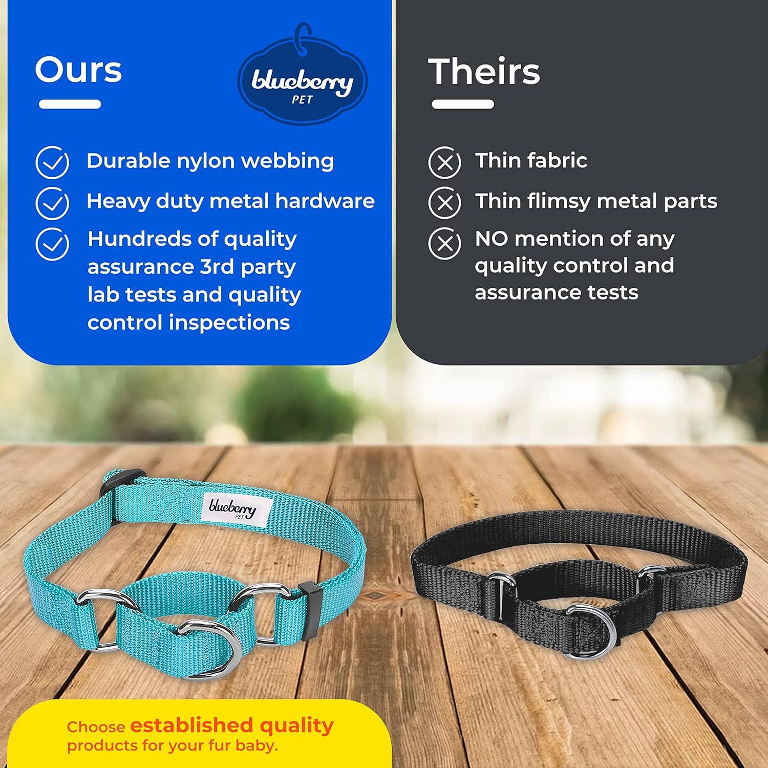 Collar de Entrenamiento Martingale Blueberry Pet Pequeño Rosa