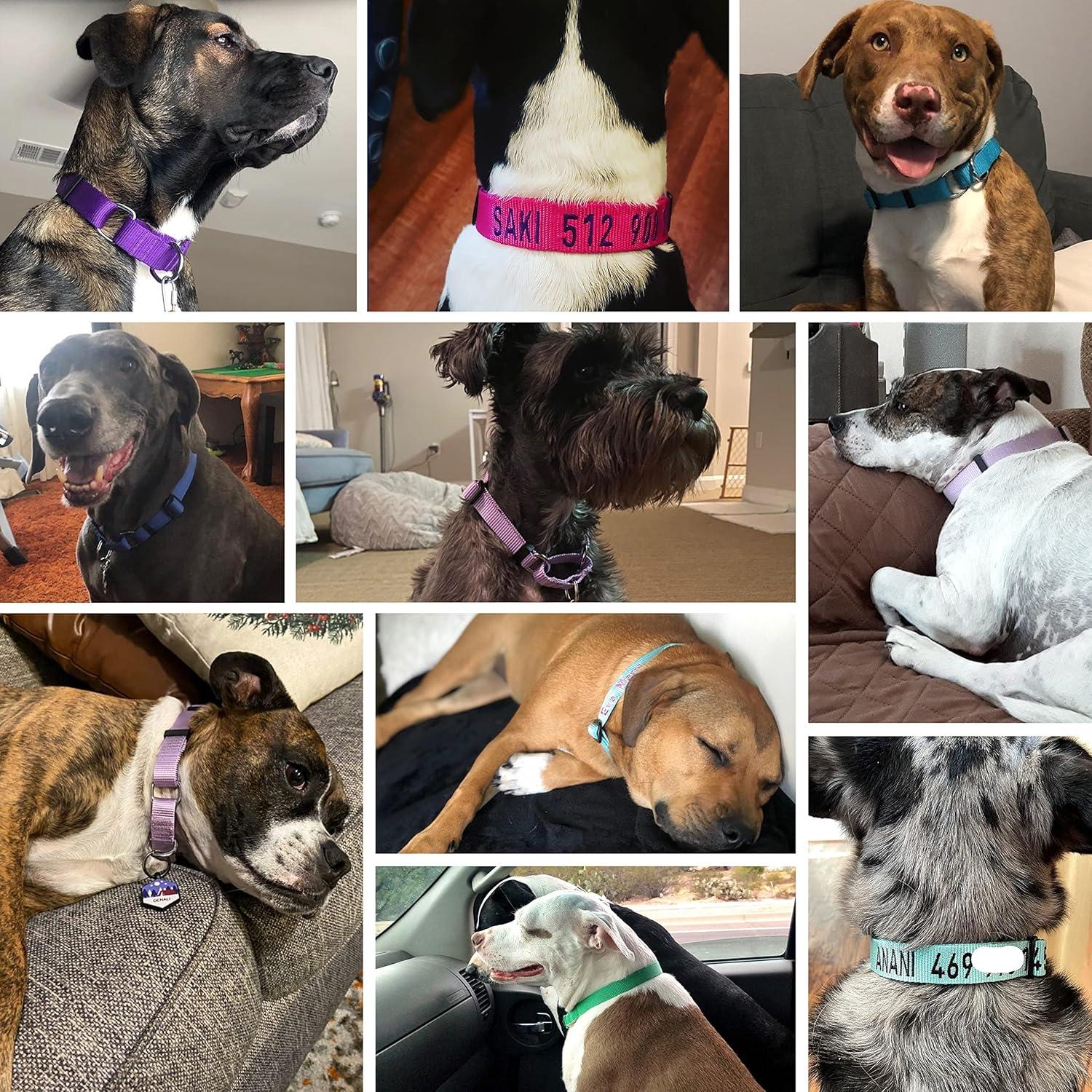 Collar de Entrenamiento Martingale Blueberry Pet Pequeño Rosa