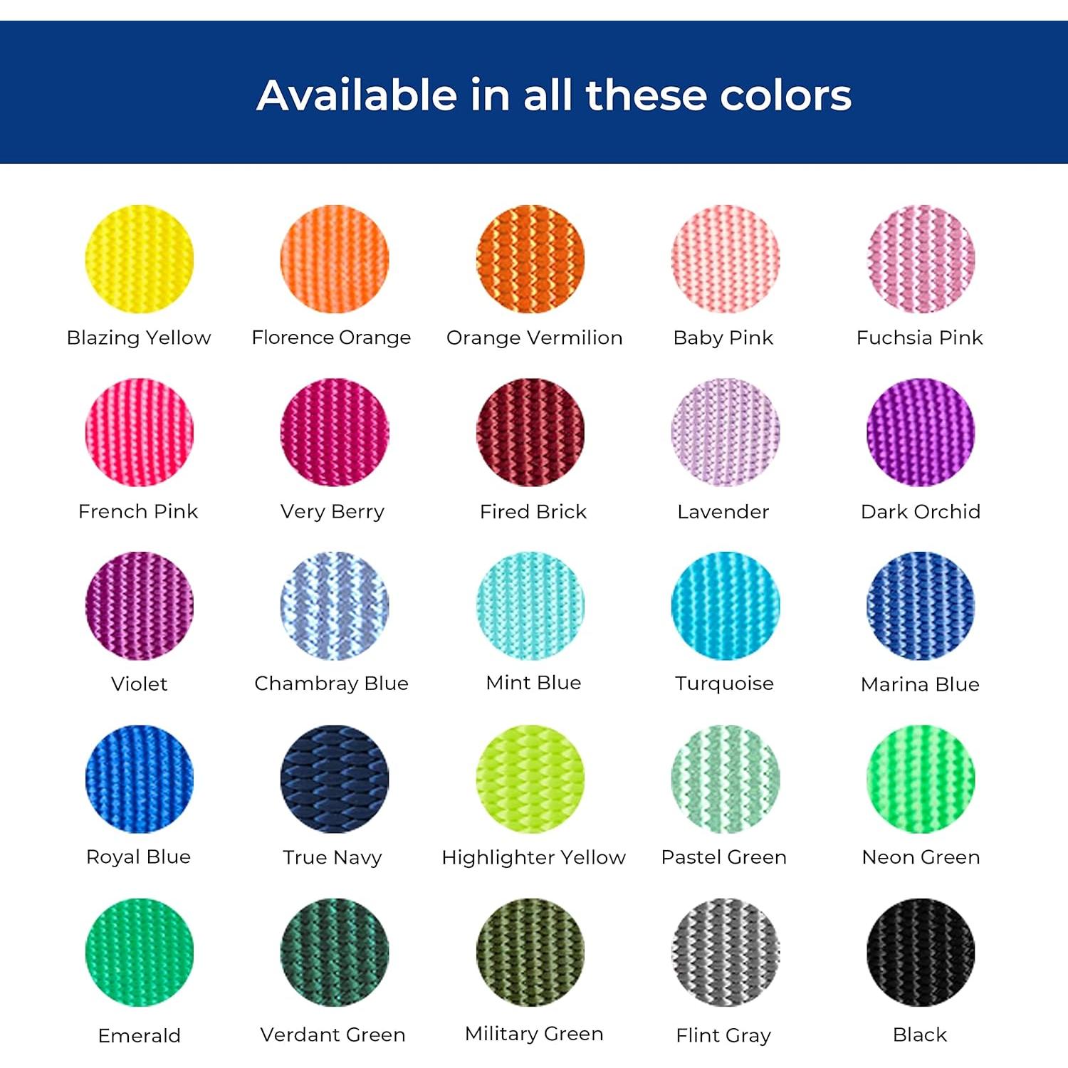 Collar de Entrenamiento Martingale Blueberry Pet Pequeño Rosa