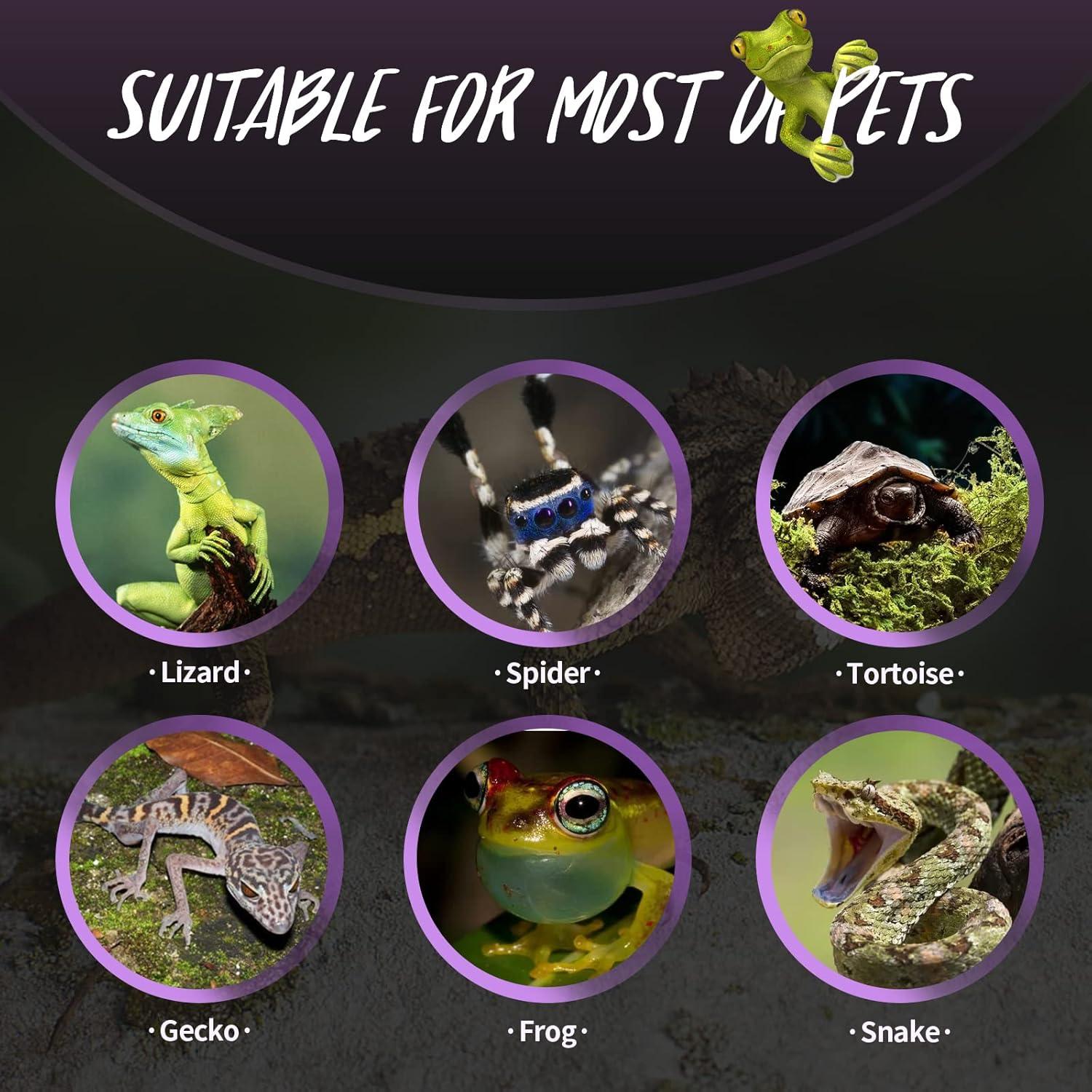 Lámpara de Calor Infrarrojo Nocturno AOMRYOM 75W para Reptiles