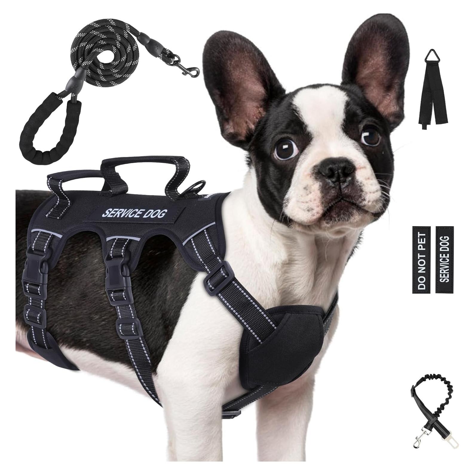 Arnés para Perros Medianos Yungaspy Negro a Prueba de Escape