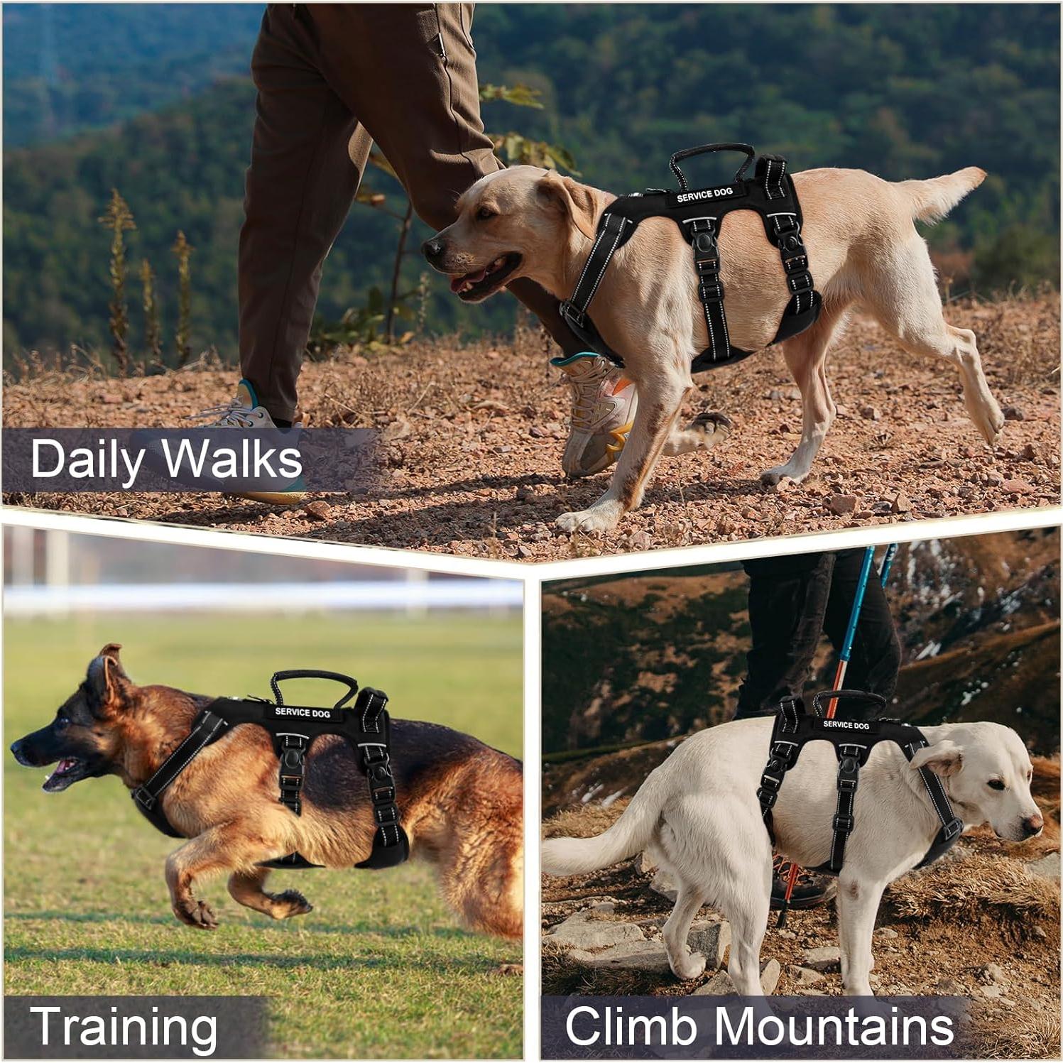 Arnés para Perros Medianos Yungaspy Negro a Prueba de Escape