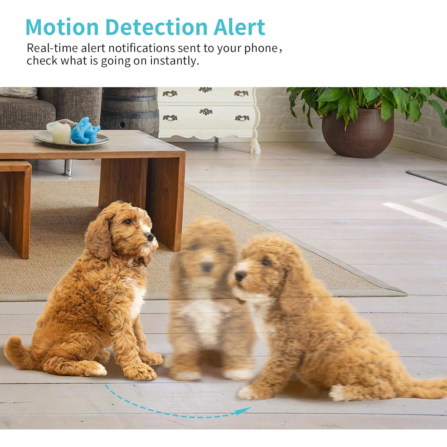 Cámara para Mascotas Armorcope CA48 2K HD con APP y Visión Nocturna