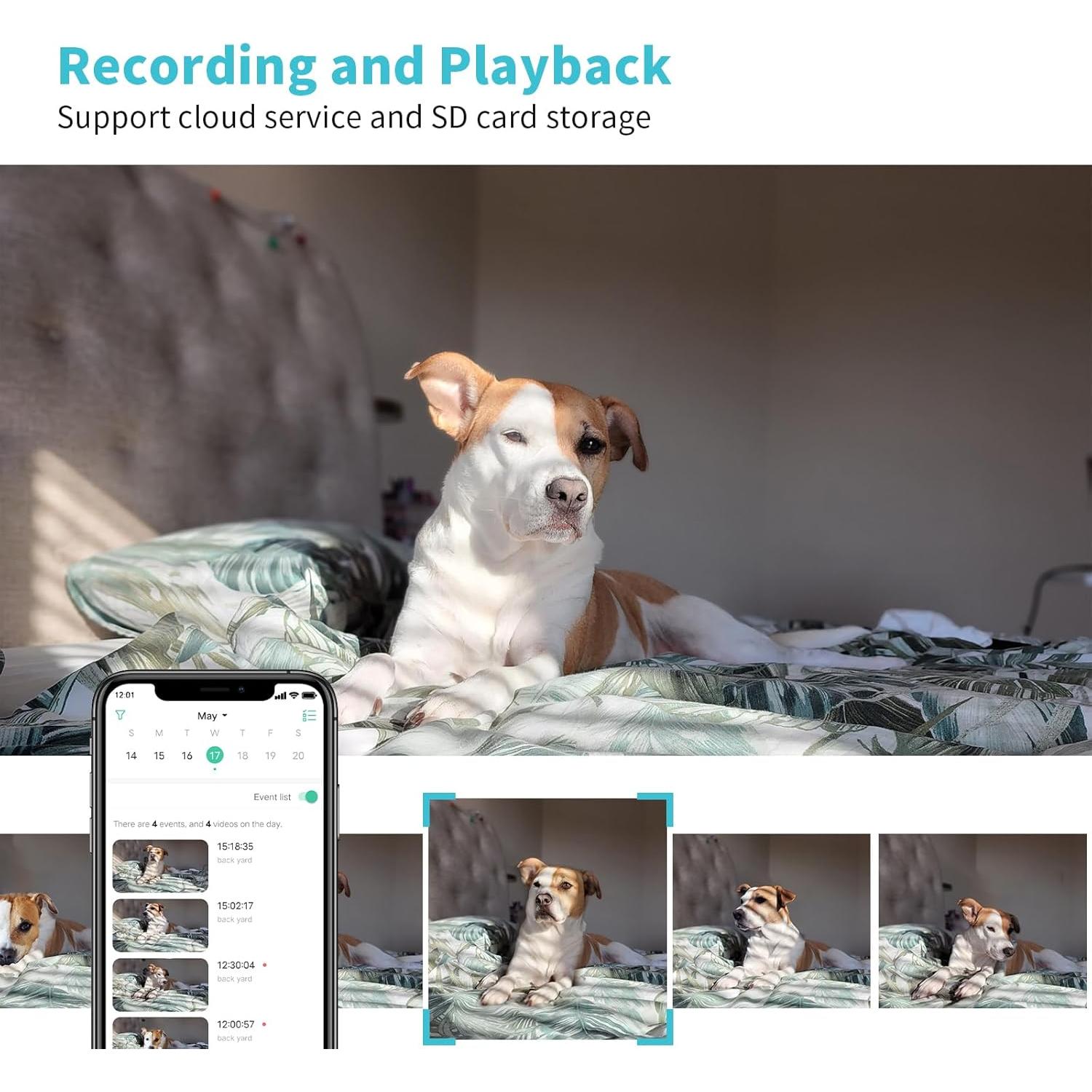 Cámara para Mascotas Armorcope CA48 2K HD con APP y Visión Nocturna
