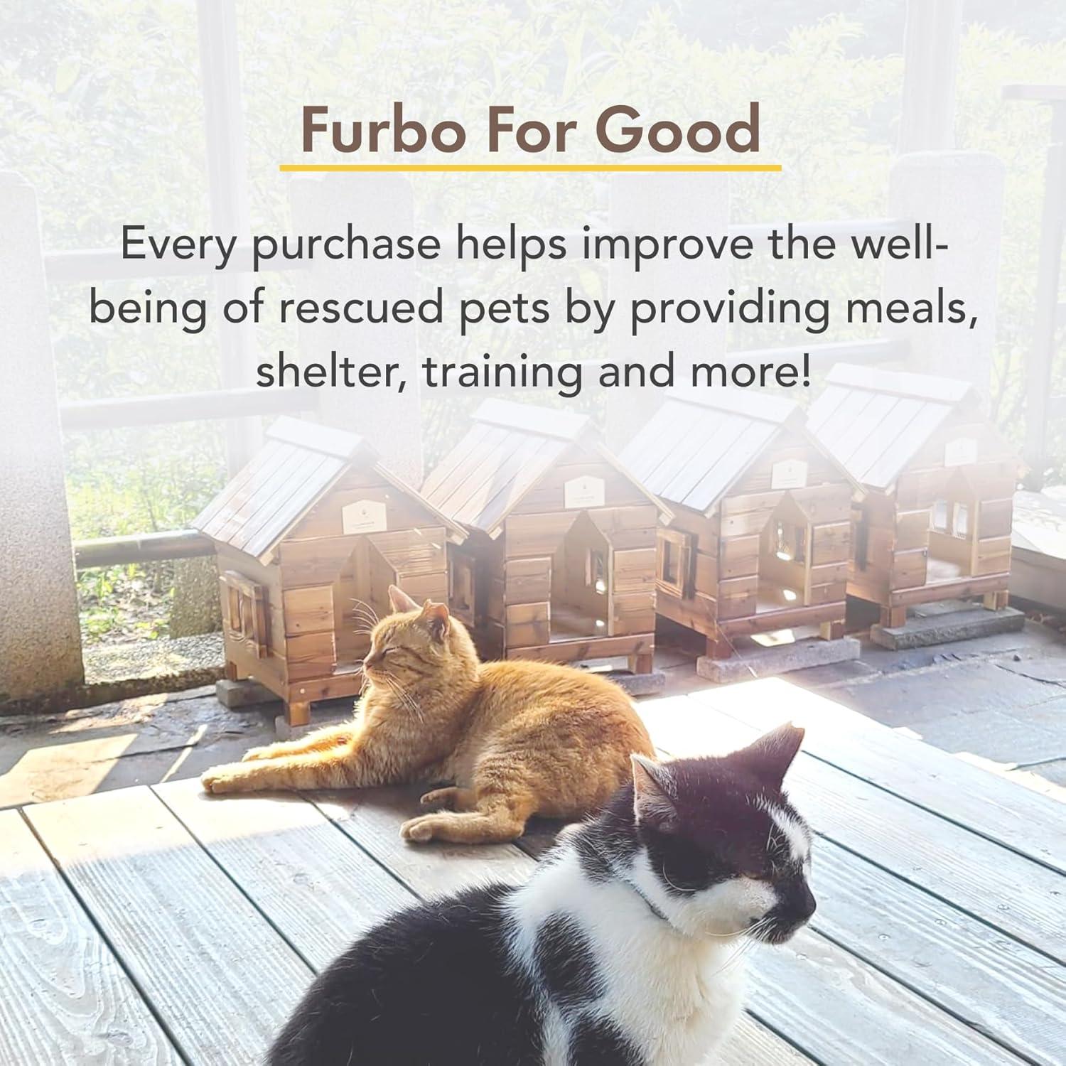 Cámara para Gatos Furbo 360° + Suscripción Nanny