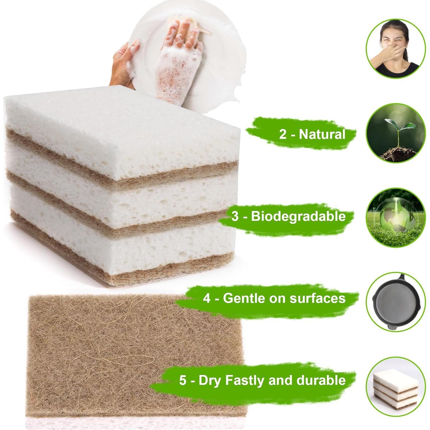 Esponjas Naturales Ecológicas Hasumcol 12 Pcs Coco y Celulosa