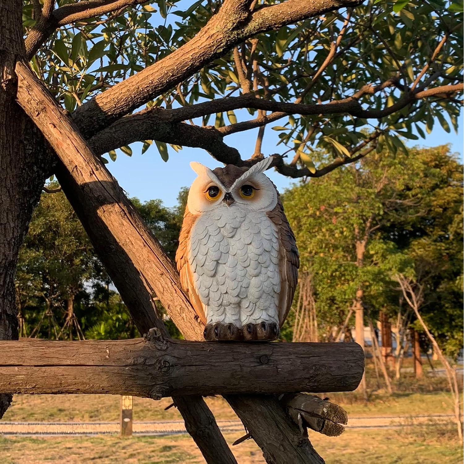 Estatua de Búho Tolatr 21 cm Resina Decoración Jardín Interior Exterior