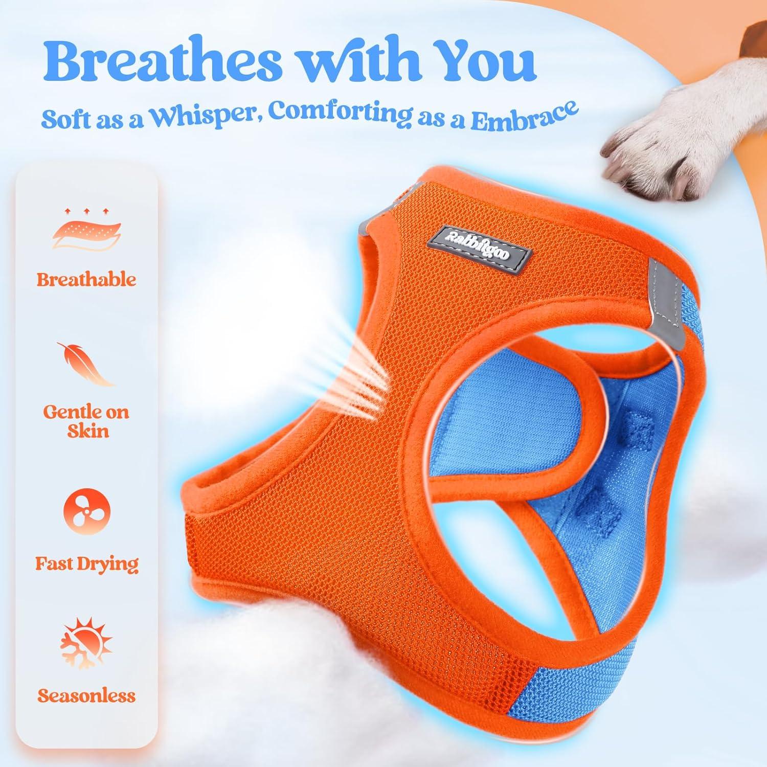 Conjunto Arnés y Correa Rabbitgoo XXXS Azul Naranja Transpirable