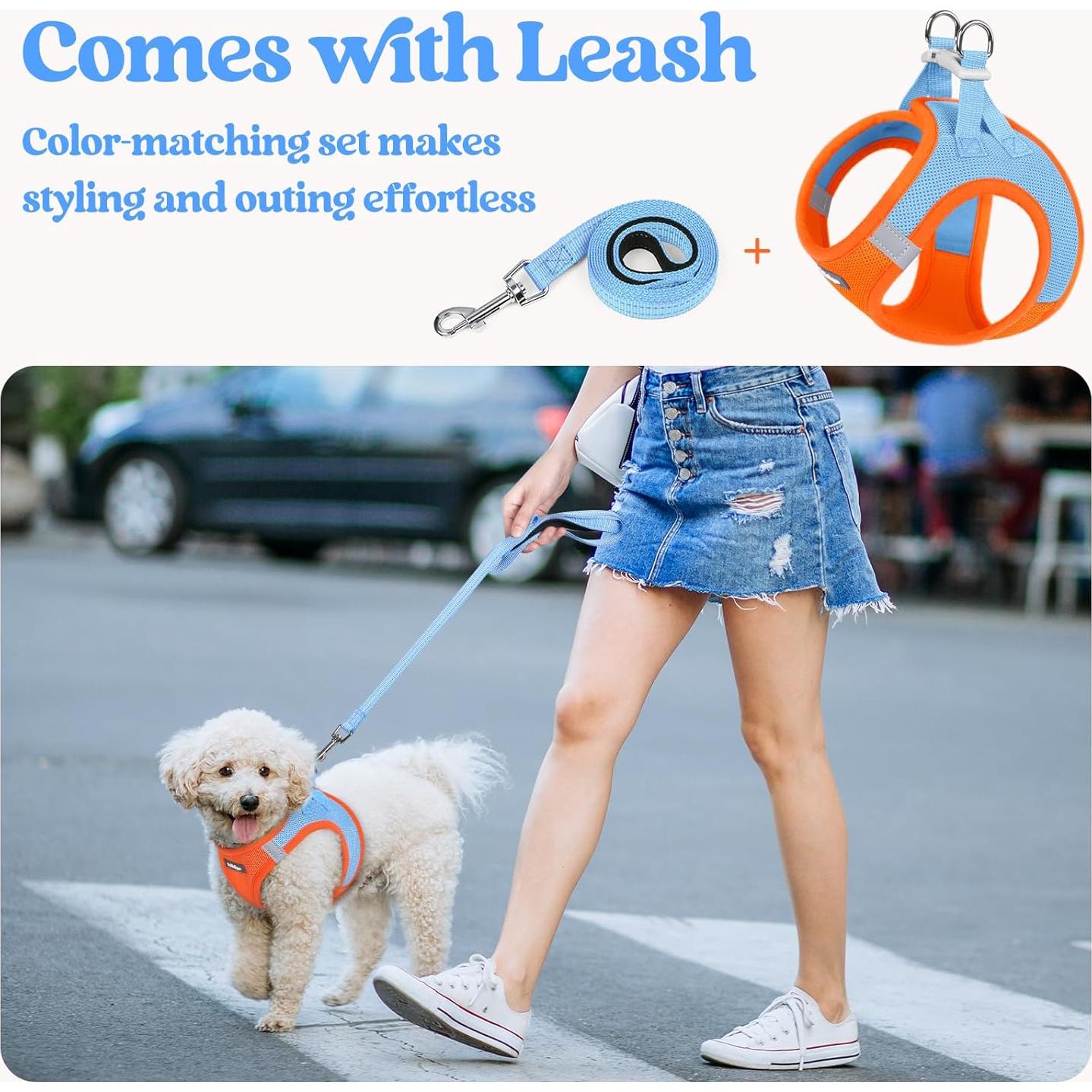 Conjunto Arnés y Correa Rabbitgoo XXXS Azul Naranja Transpirable