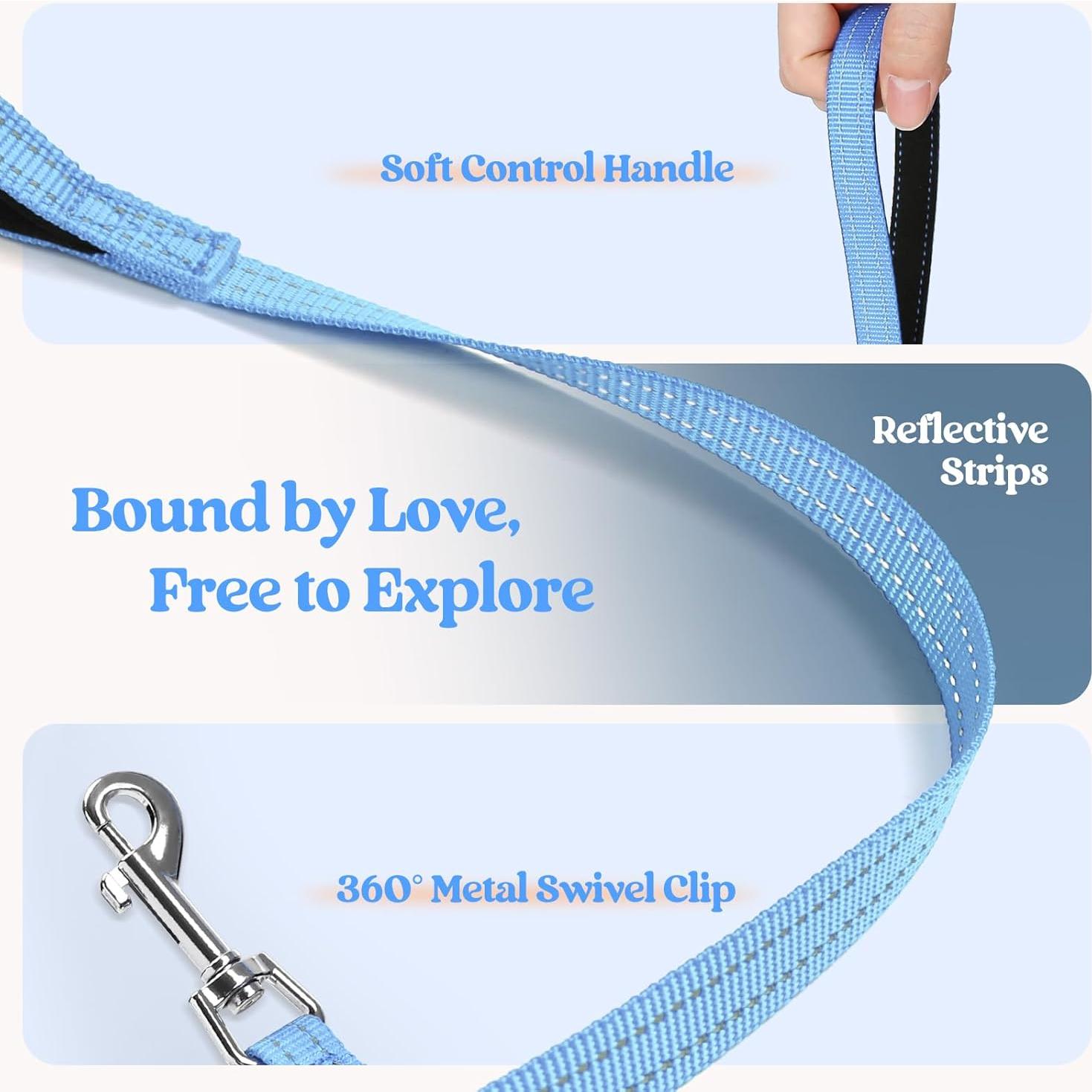 Conjunto Arnés y Correa Rabbitgoo XXXS Azul Naranja Transpirable