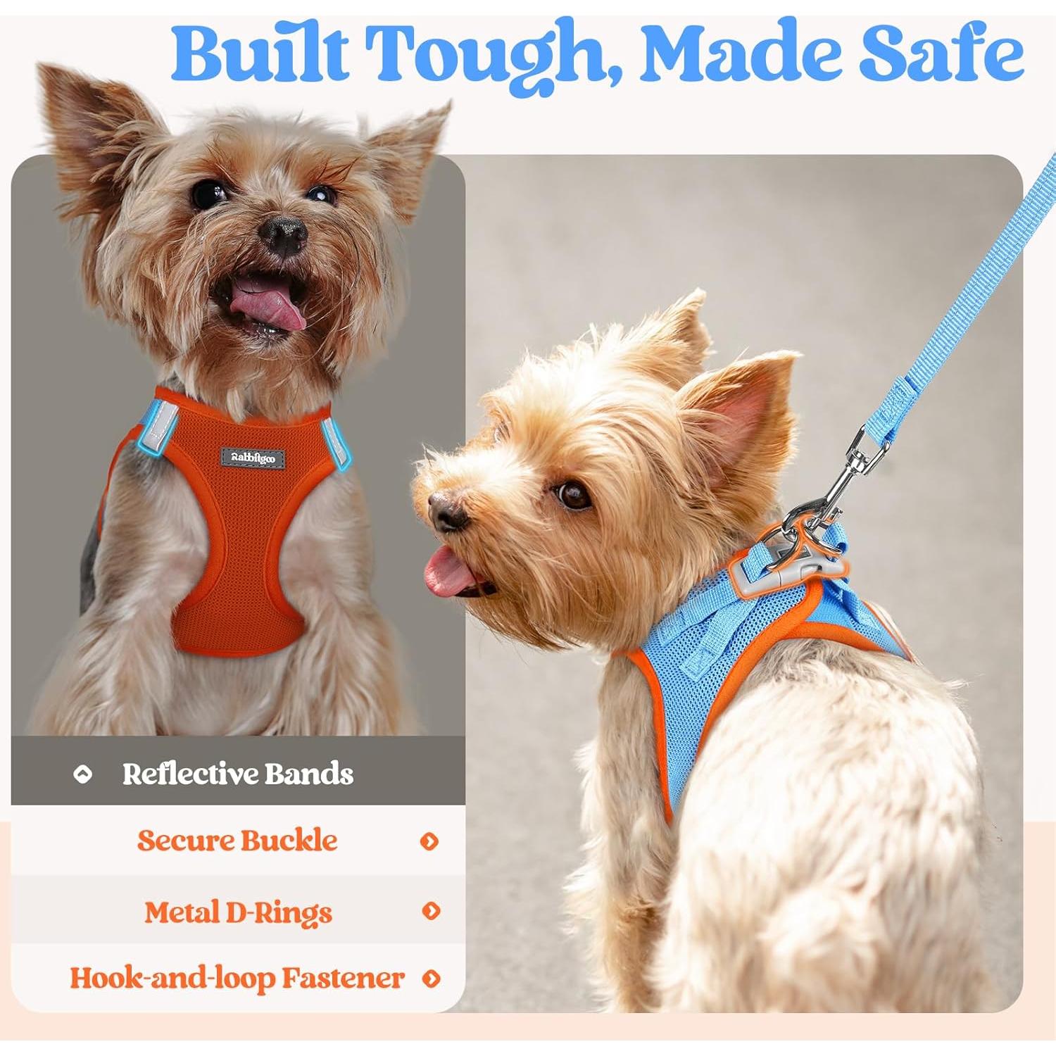 Conjunto Arnés y Correa Rabbitgoo XXXS Azul Naranja Transpirable