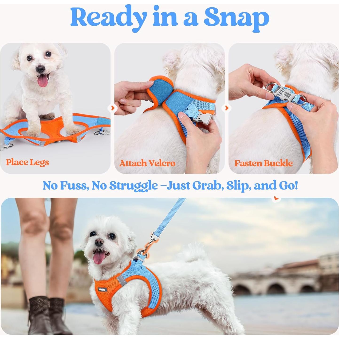 Conjunto Arnés y Correa Rabbitgoo XXXS Azul Naranja Transpirable