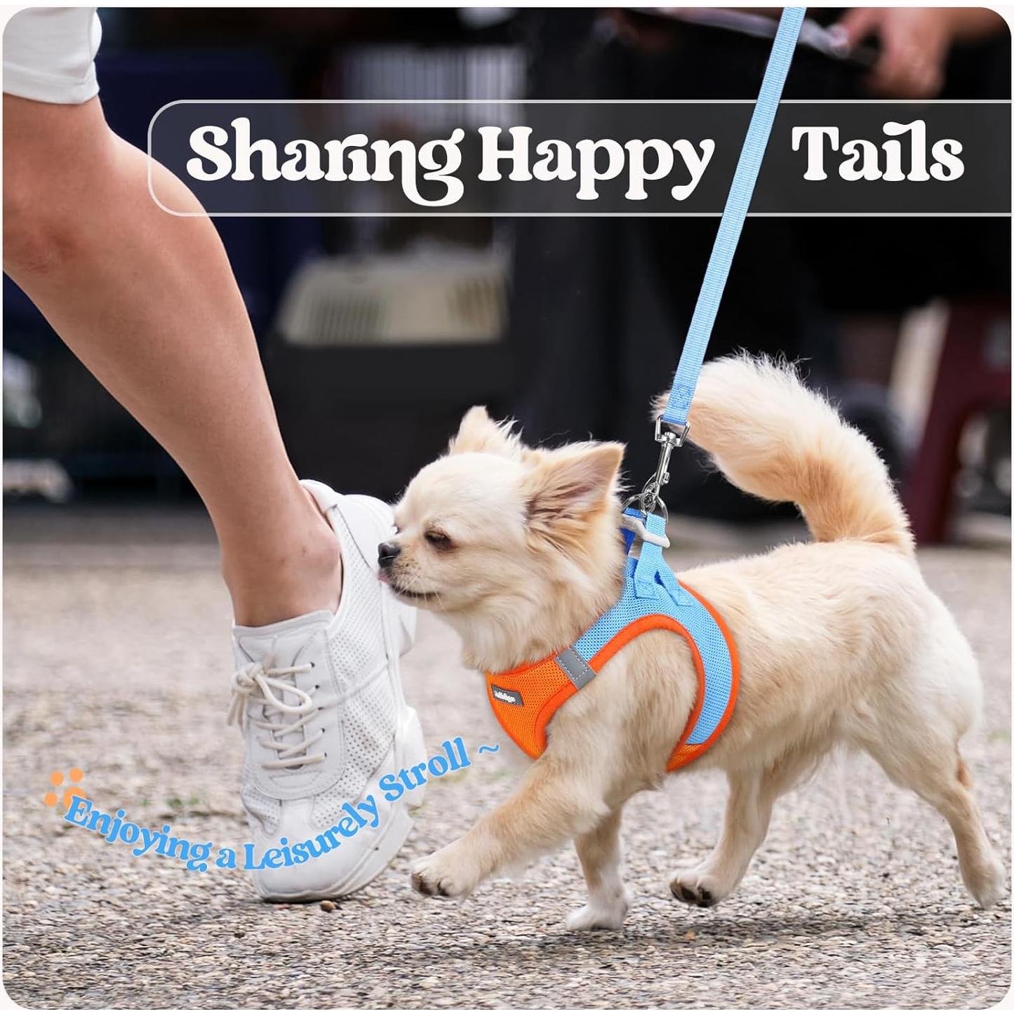 Conjunto Arnés y Correa Rabbitgoo XXXS Azul Naranja Transpirable