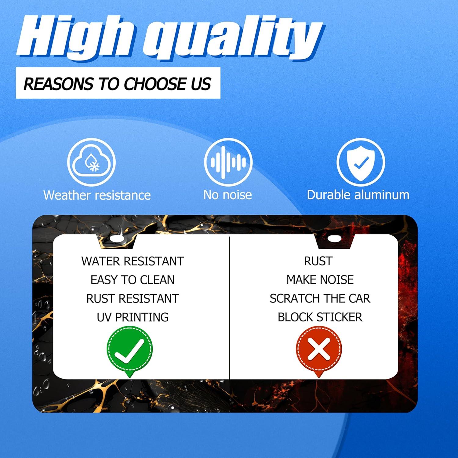 Marco de Placa de Matrícula Acero Inoxidable GORSNKYE 31.2x16cm